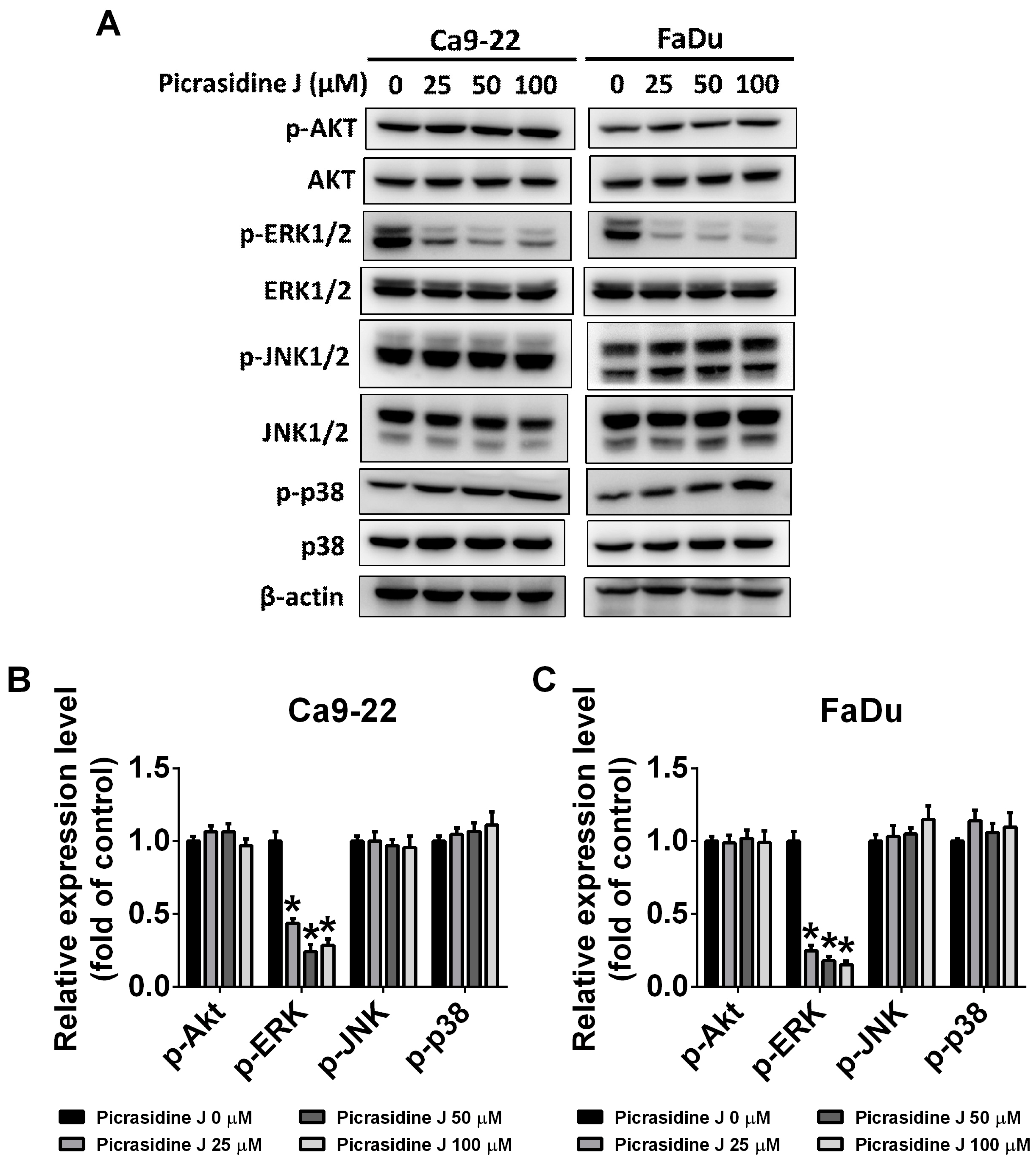 Ijms 24 13230 g006 Ijms 24 13230 g006