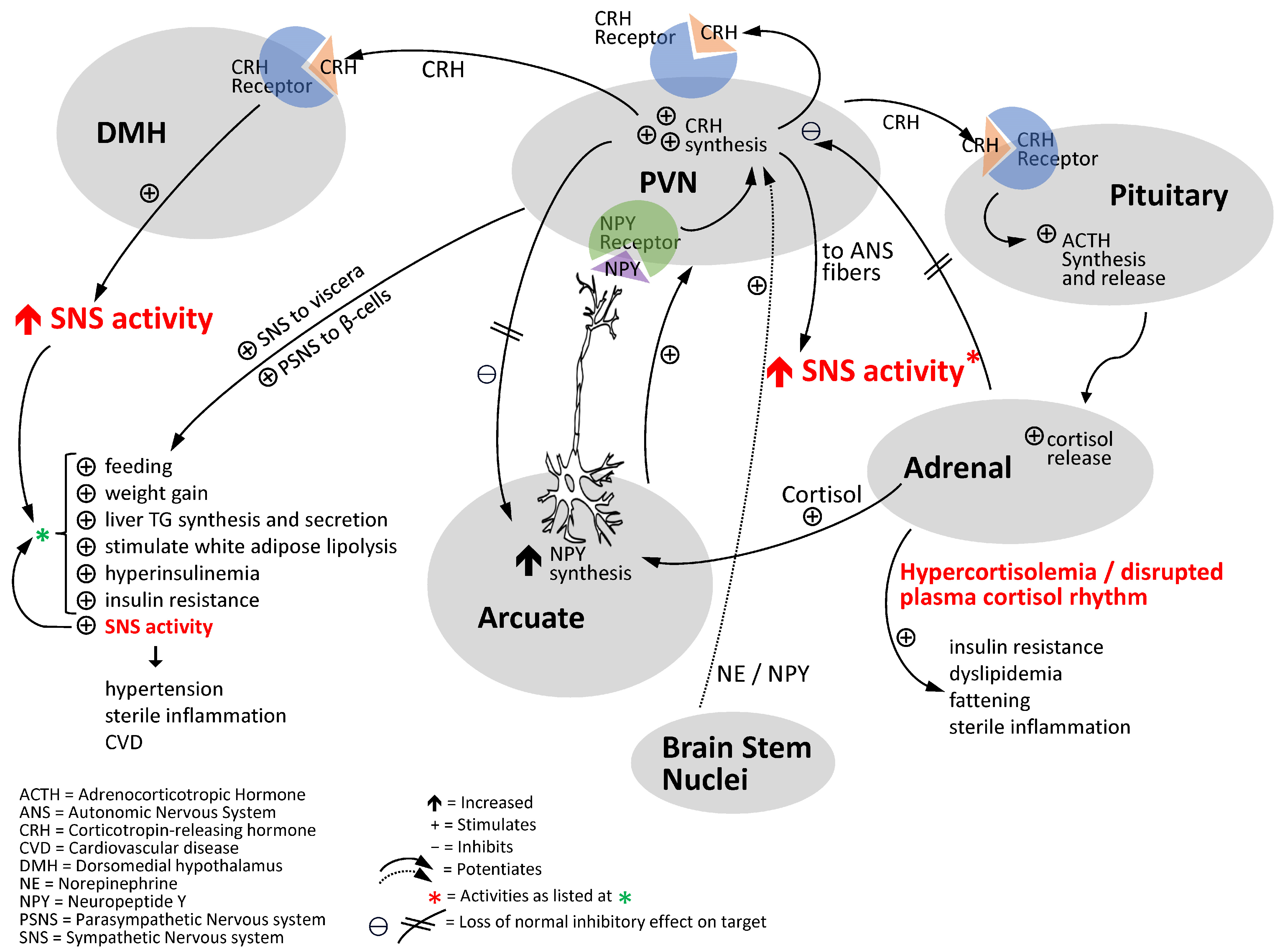 Ijms 24 13255 g004 Ijms 24 13255 g004