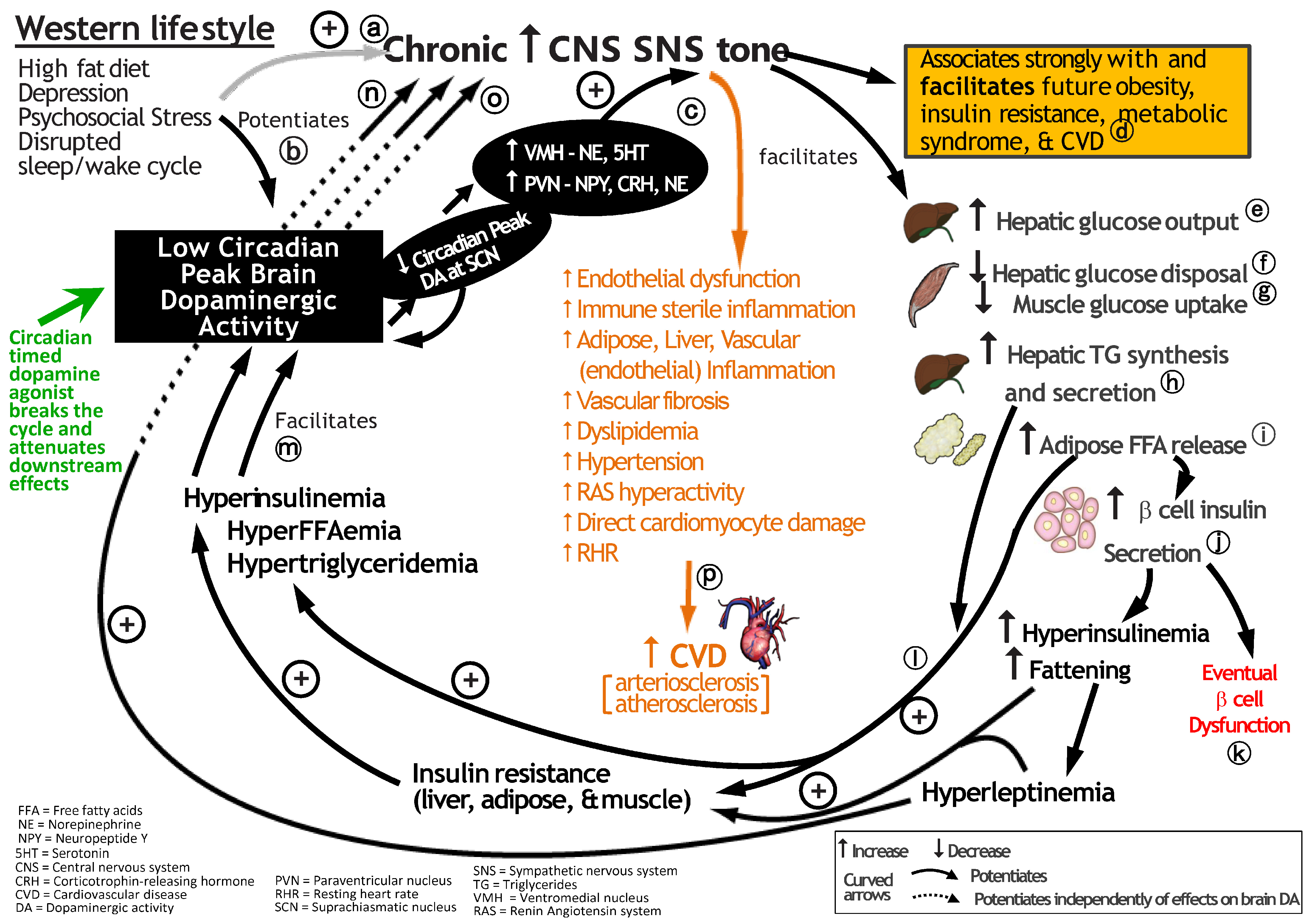 Ijms 24 13255 g005 Ijms 24 13255 g005