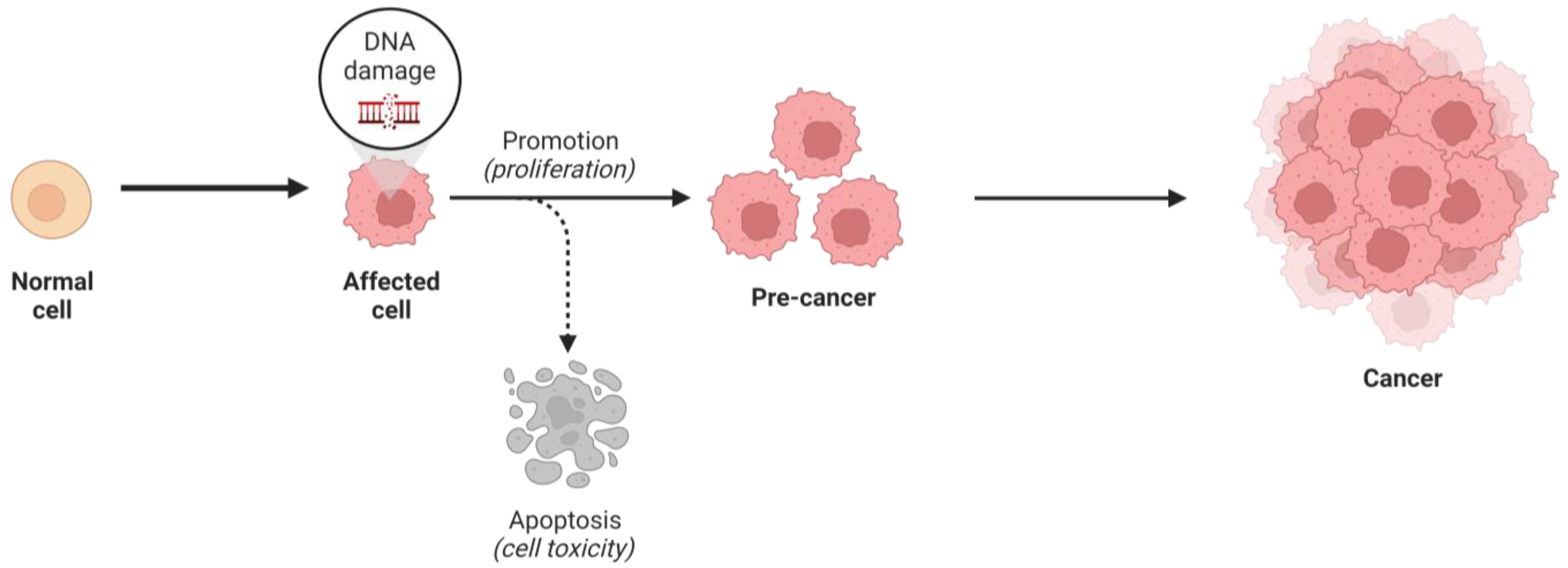 Knock Cancer Out of the Park - OHC - Oncology Hematology Care