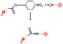 Ijms 24 13262 i004 Ijms 24 13262 i004