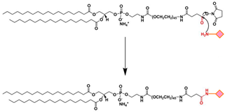 Ijms 24 13262 i007 Ijms 24 13262 i007