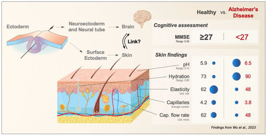 IJMS | Free Full-Text | Exploring the Skin Brain Link: Biomarkers in ...