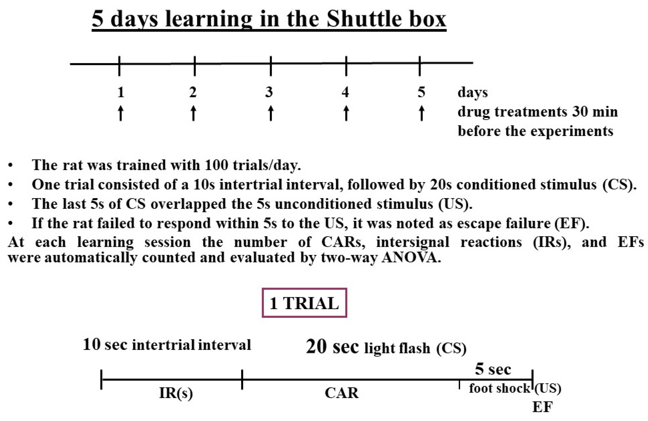 Ijms 24 13334 g011 Ijms 24 13334 g011