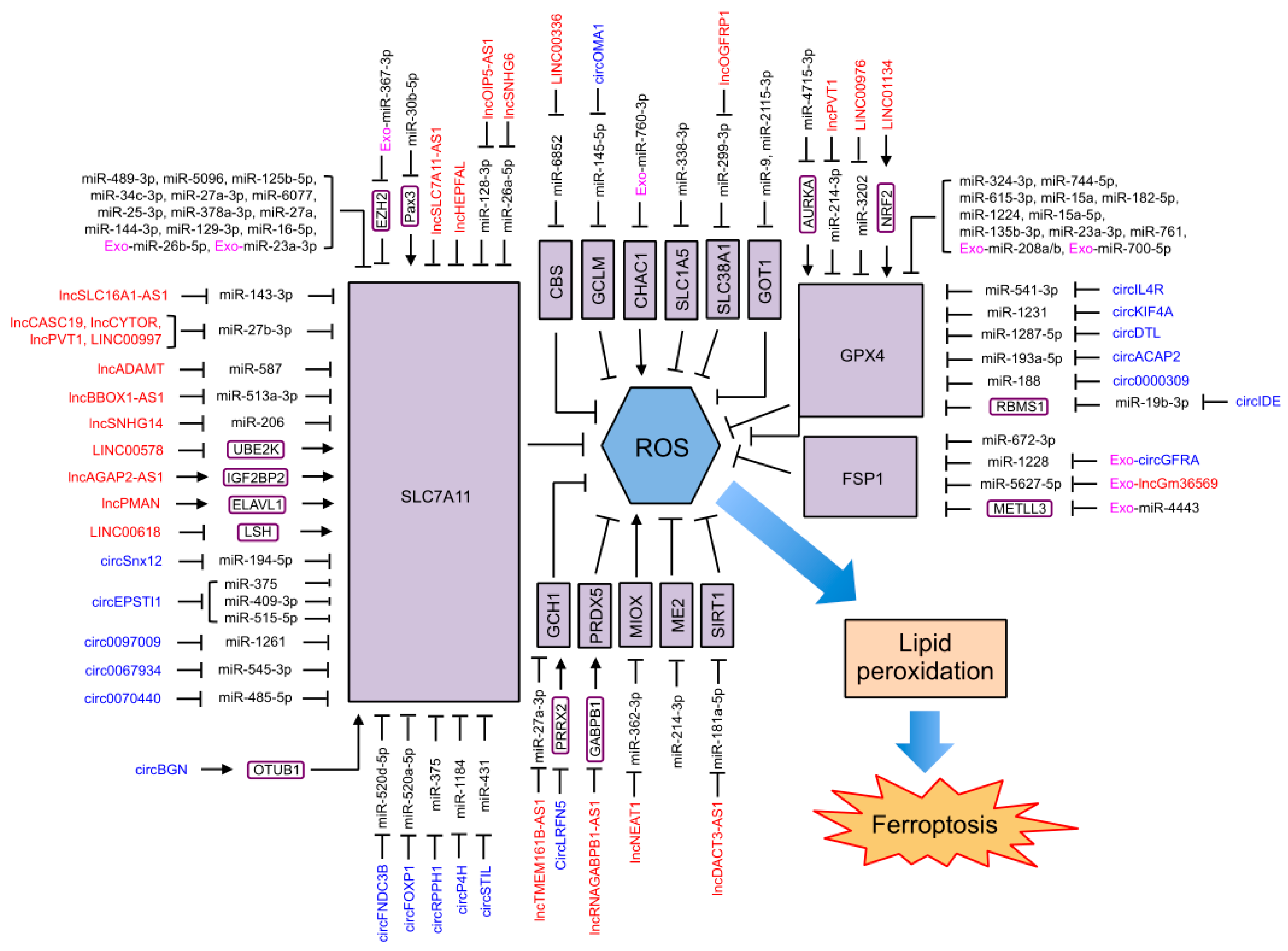 Ijms 24 13336 g004 Ijms 24 13336 g004