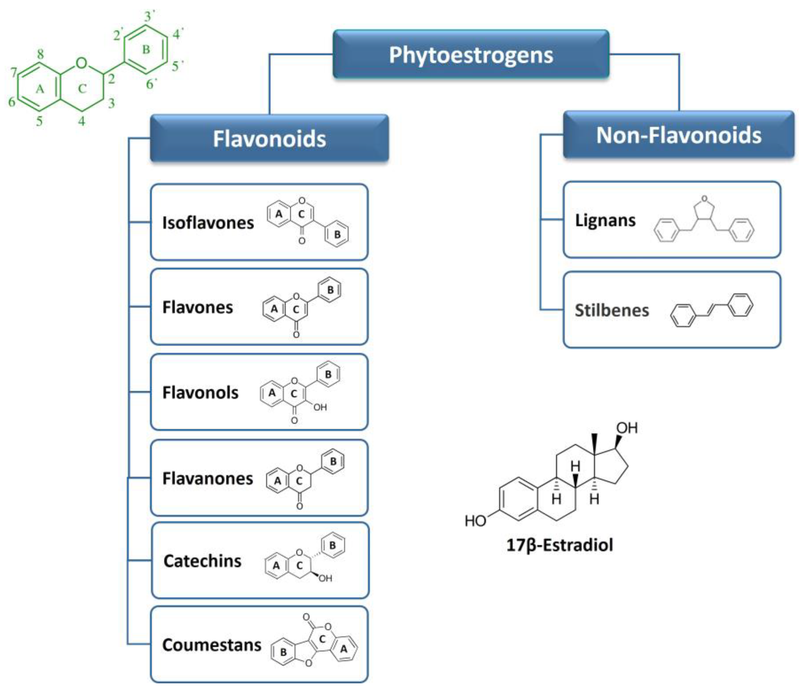 Ijms 24 13344 g001 Ijms 24 13344 g001