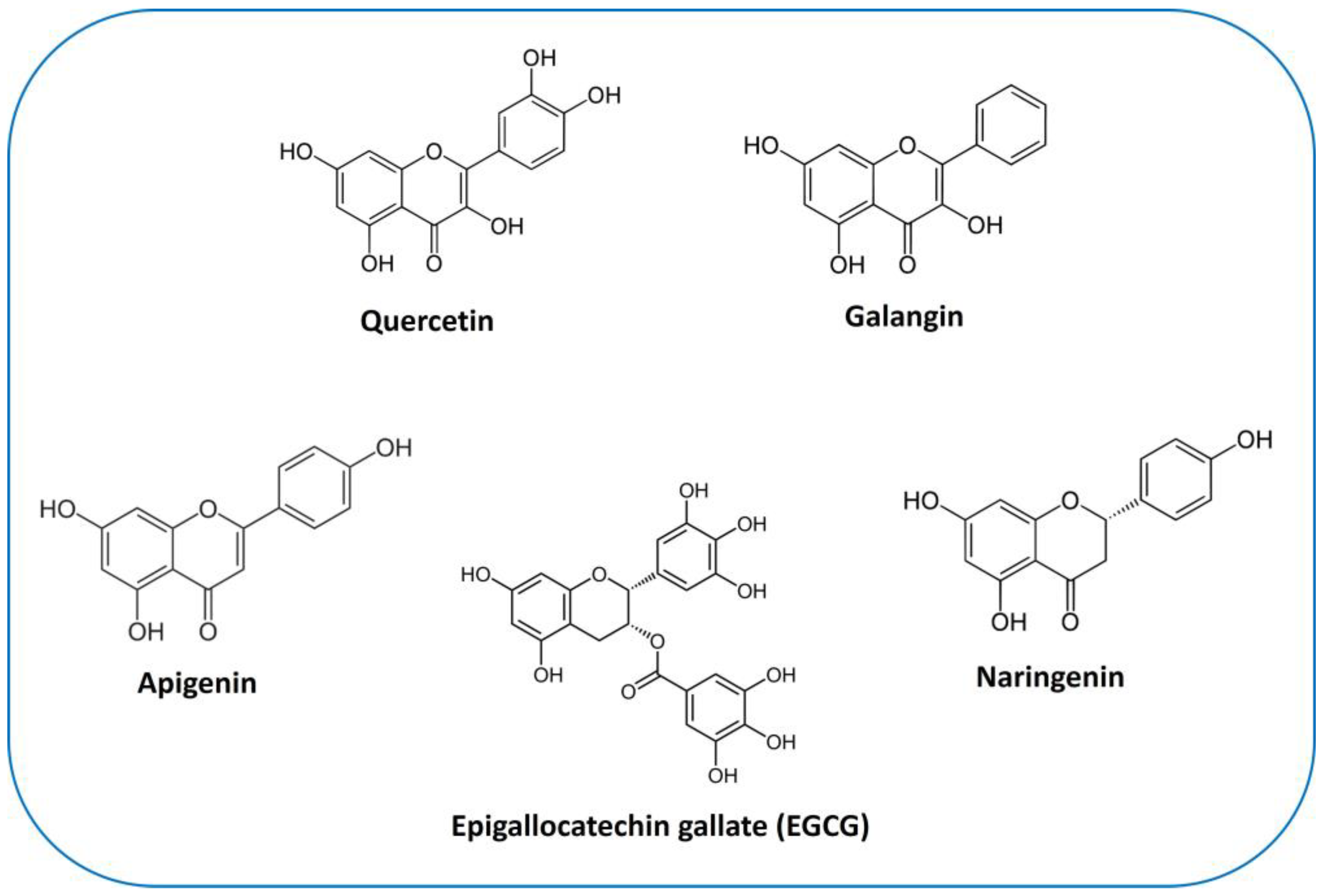 Ijms 24 13344 g004 Ijms 24 13344 g004