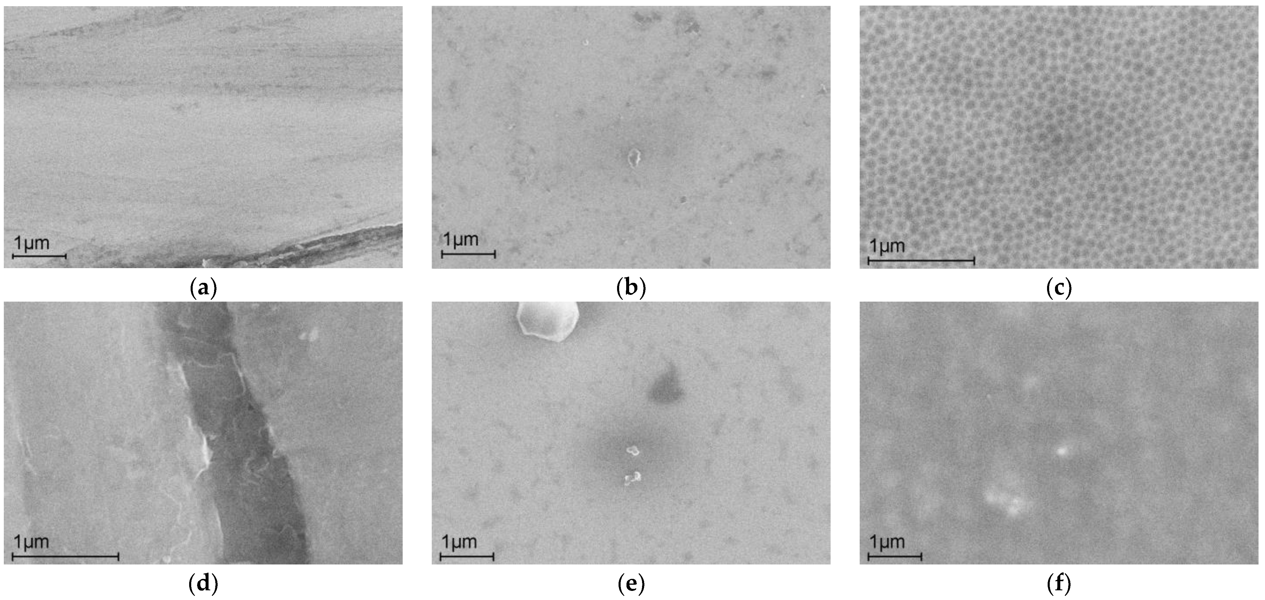 Ijms 24 13373 g001 Ijms 24 13373 g001