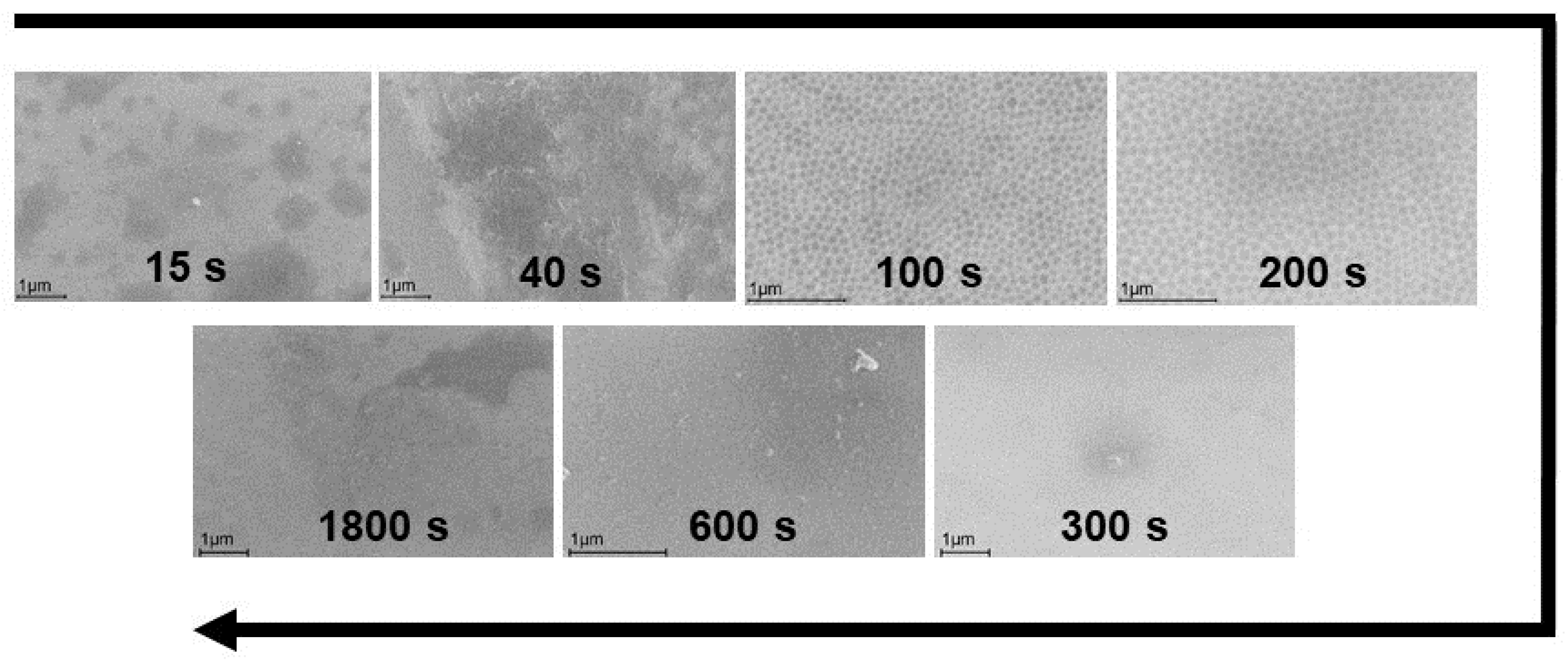 Ijms 24 13373 g002 Ijms 24 13373 g002