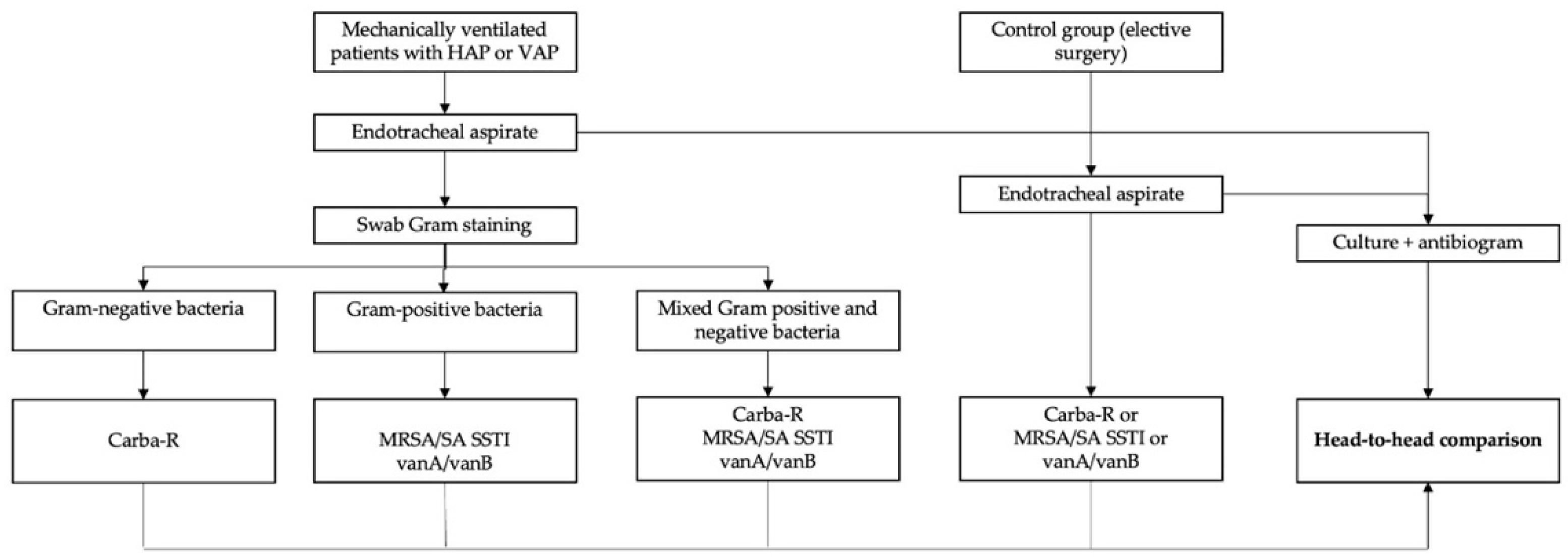 IJMS | Free Full-Text | Rapid Point-of-Care PCR Testing of Drug-Resistant  Strains on Endotracheal Aspirate Samples: A Repurposed Effective Tool in  the Stepwise Approach of Healthcare-Acquired Pneumonia&mdash;A Pilot Study