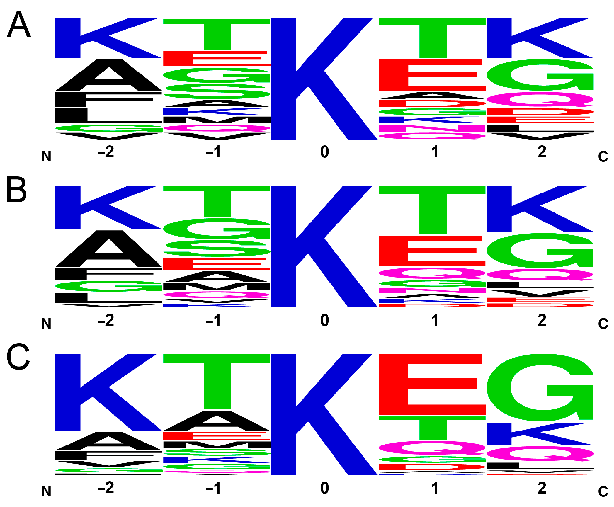 Ijms 24 13403 g005 Ijms 24 13403 g005