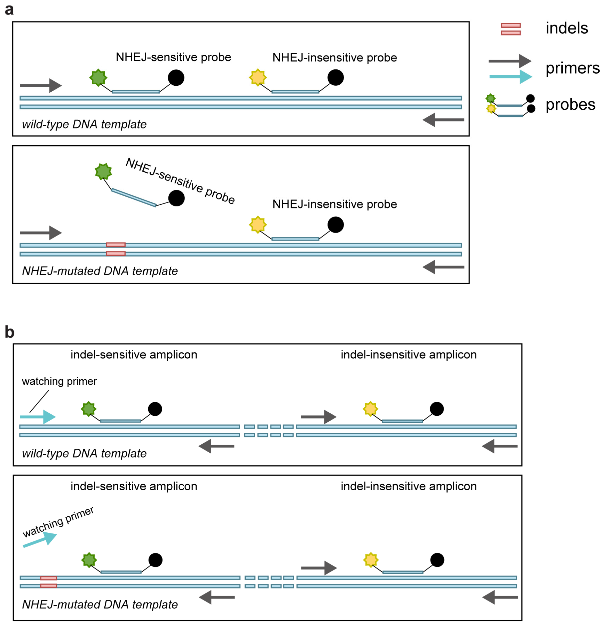Ijms 24 13405 g001 Ijms 24 13405 g001