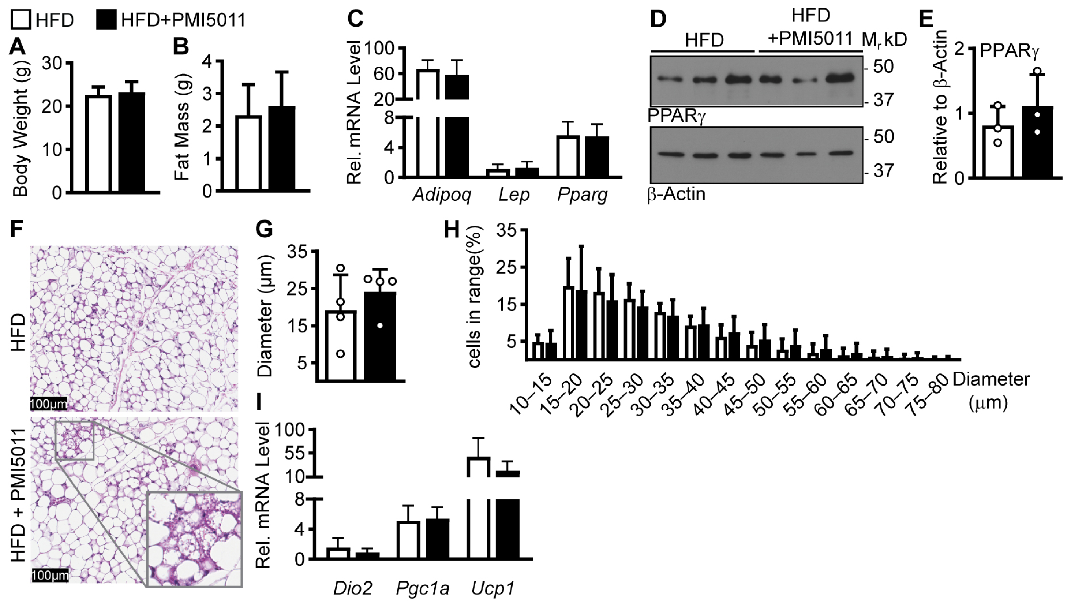 Ijms 24 13423 g001 Ijms 24 13423 g001
