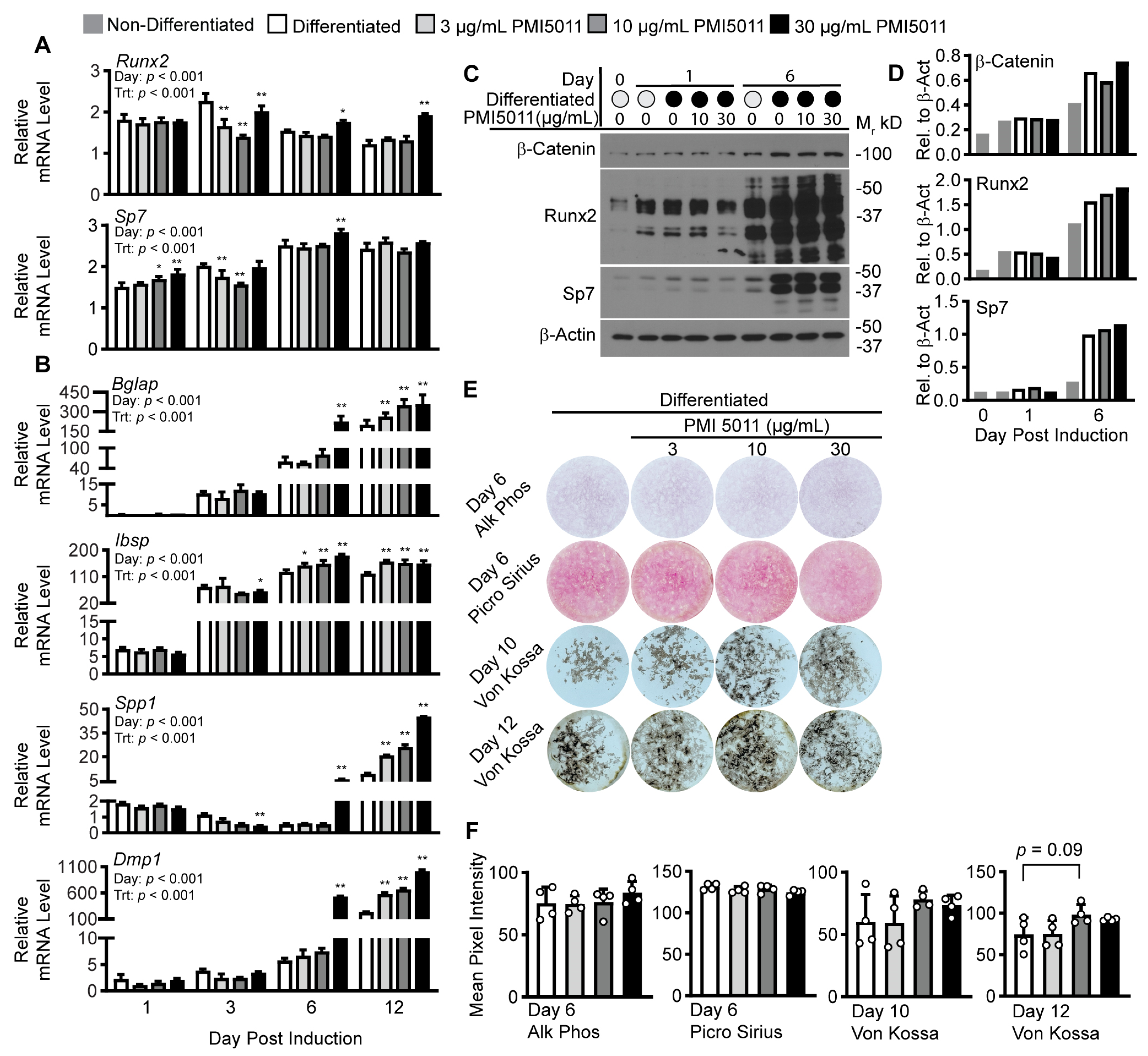 Ijms 24 13423 g004 Ijms 24 13423 g004