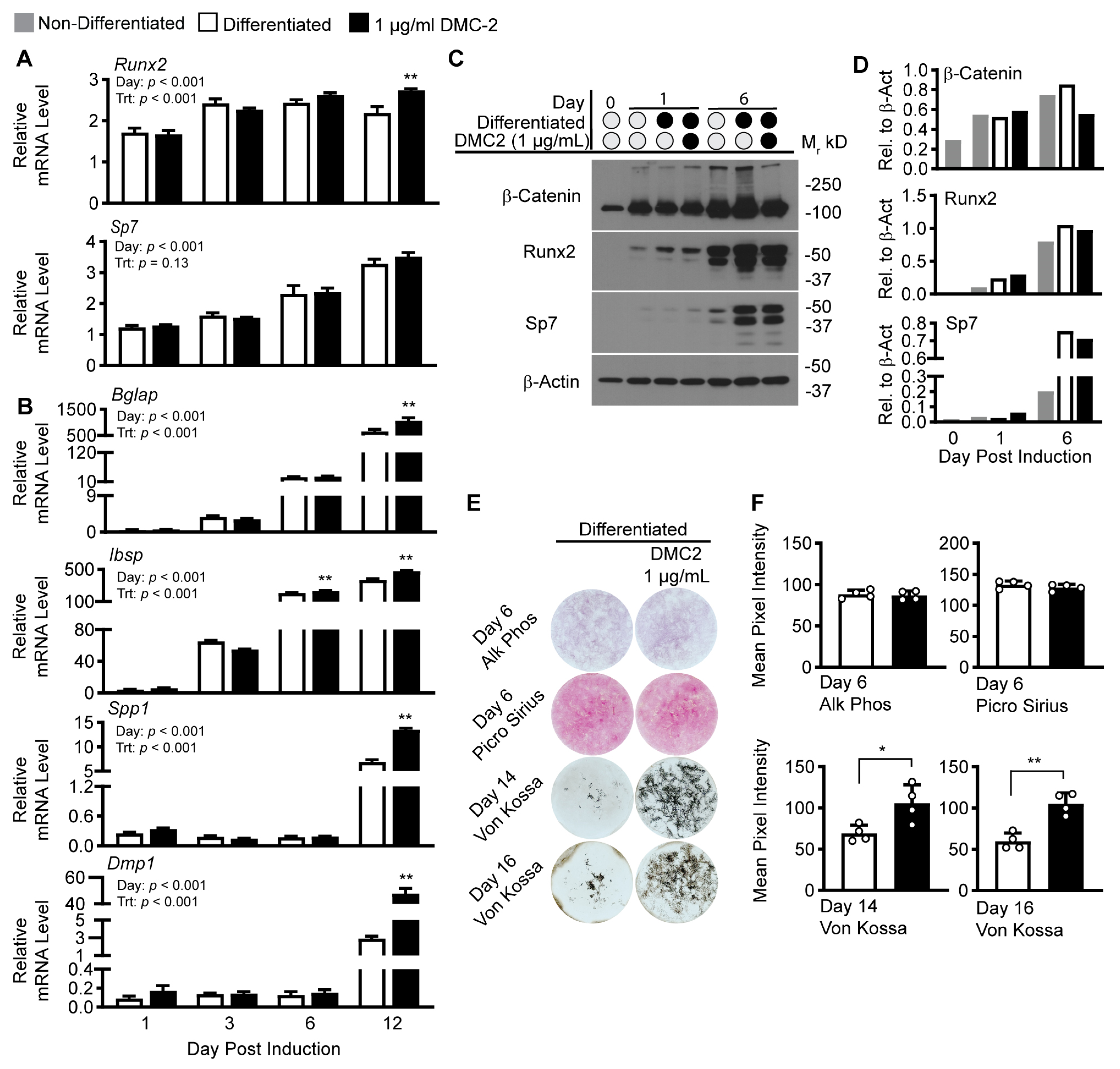 Ijms 24 13423 g005 Ijms 24 13423 g005