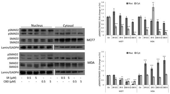 IJMS | Free Full-Text | Rimonabant and Cannabidiol Rewrite the 