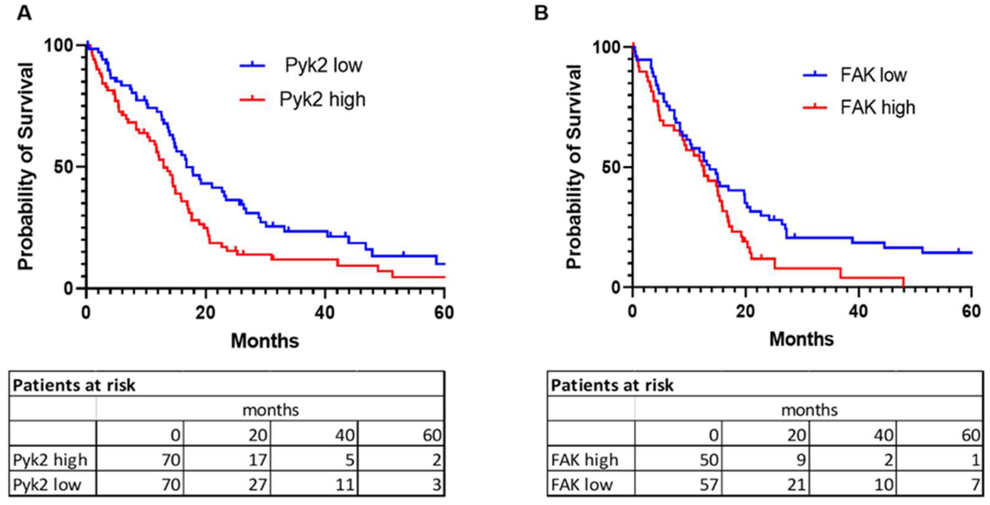 Ijms 24 13467 g002 Ijms 24 13467 g002