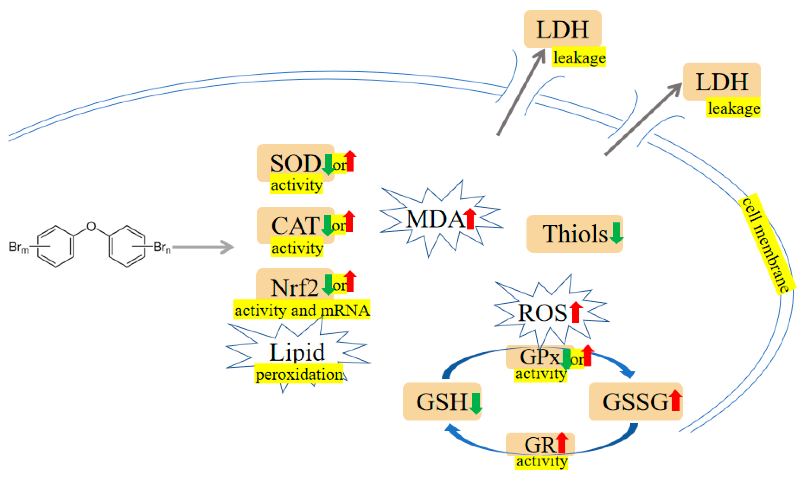 Ijms 24 13487 g002 Ijms 24 13487 g002