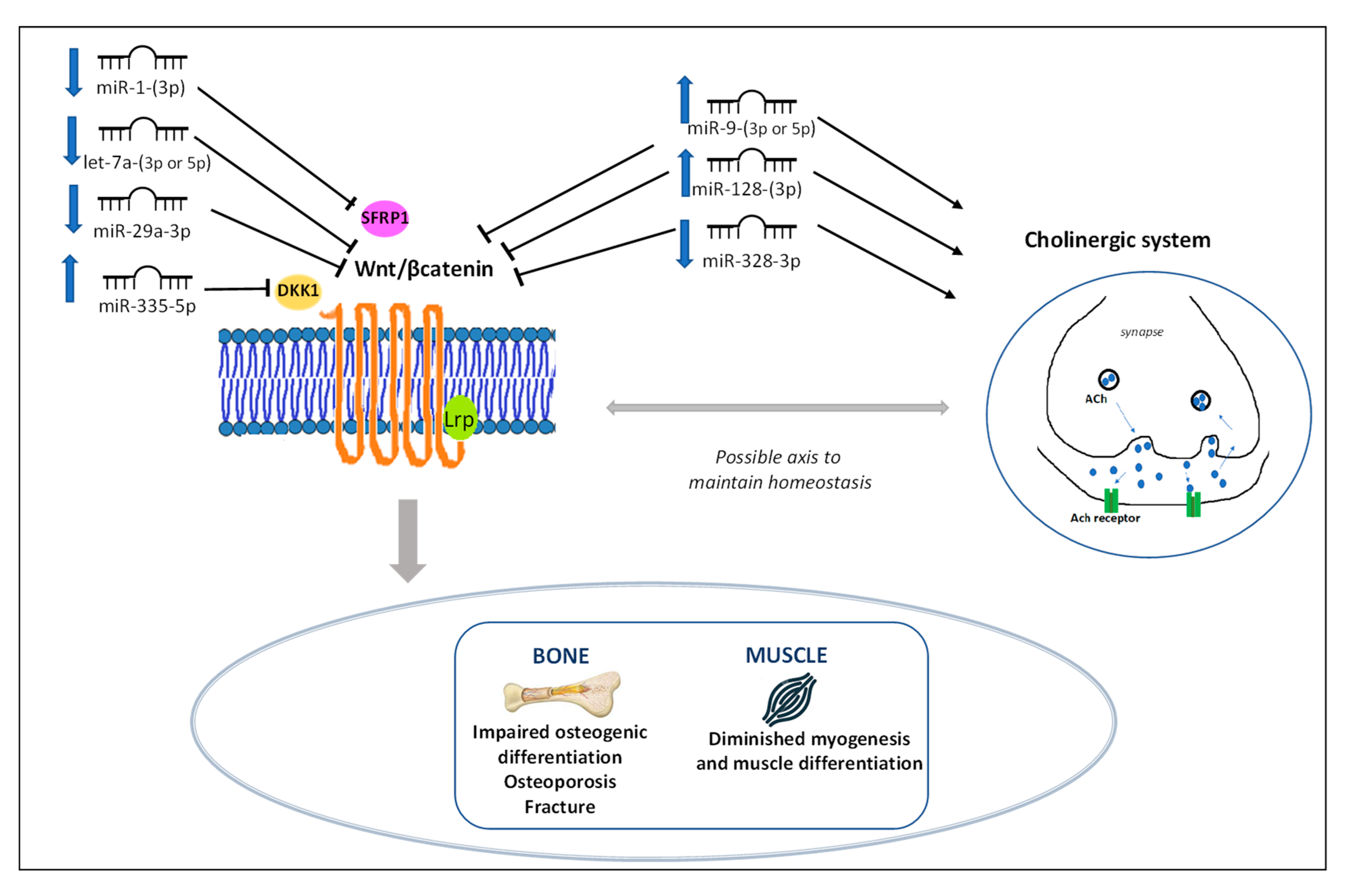 Ijms 24 13513 g004 Ijms 24 13513 g004