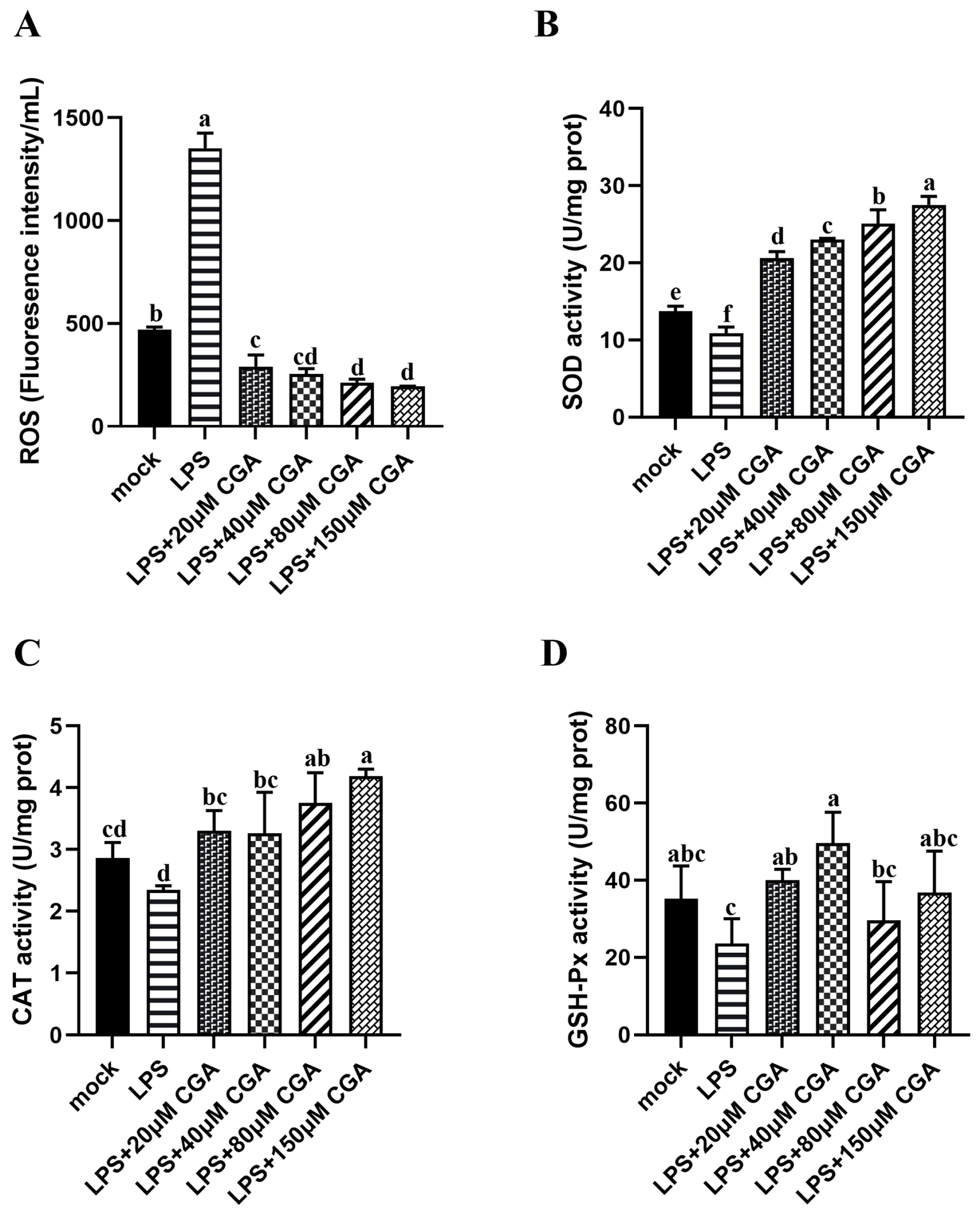 Ijms 24 13516 g002 Ijms 24 13516 g002
