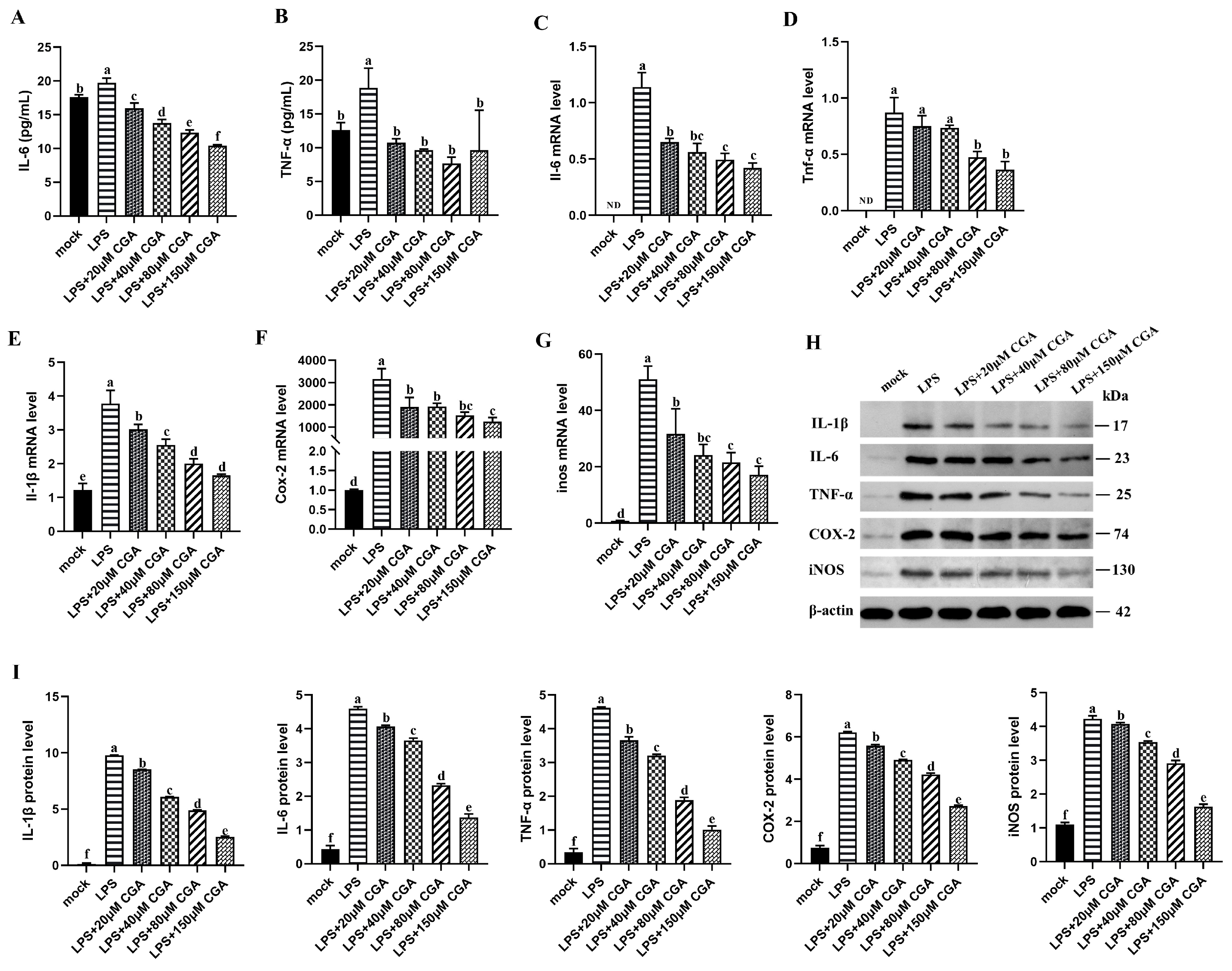 Ijms 24 13516 g003 Ijms 24 13516 g003
