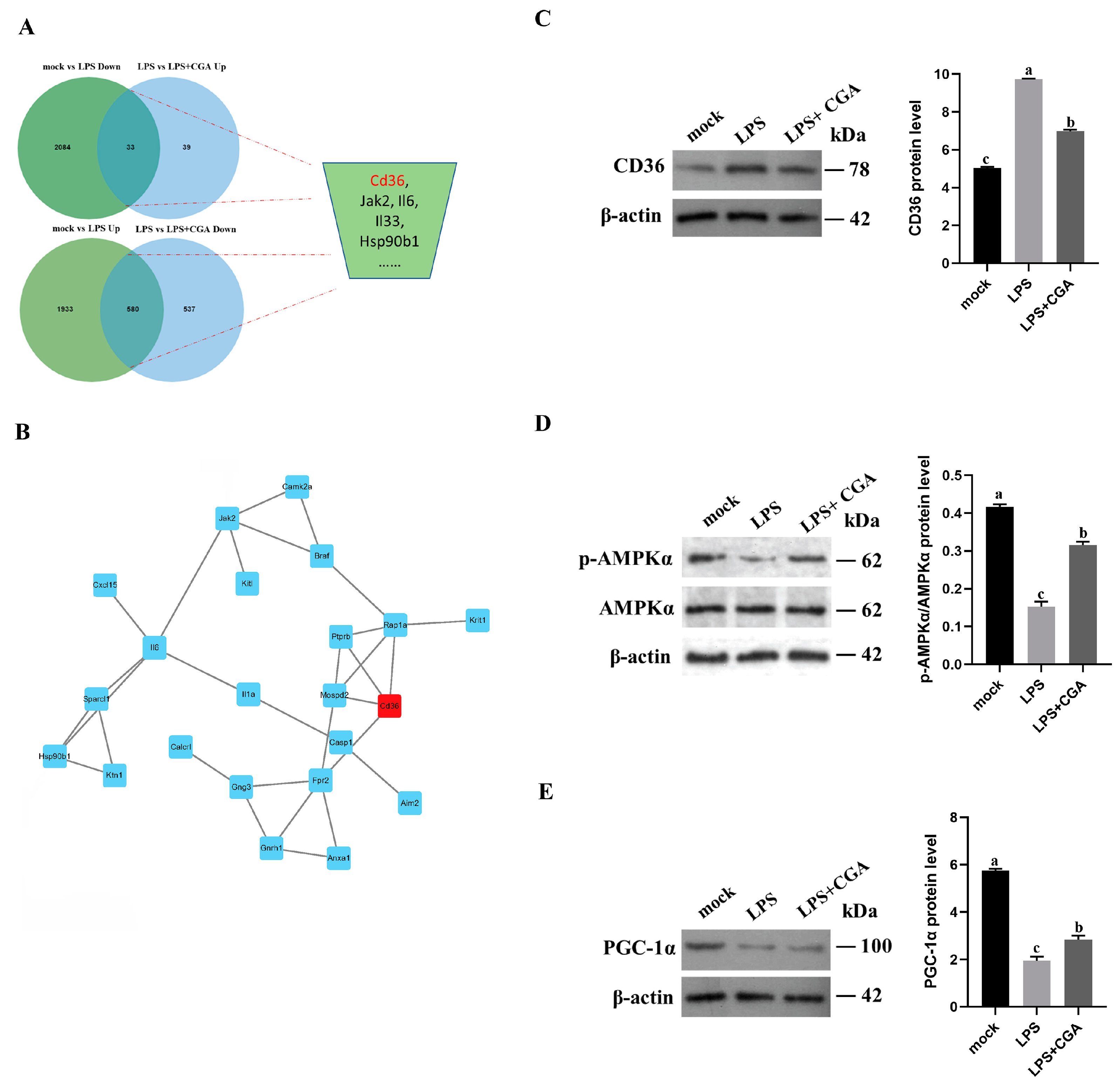 Ijms 24 13516 g005 Ijms 24 13516 g005