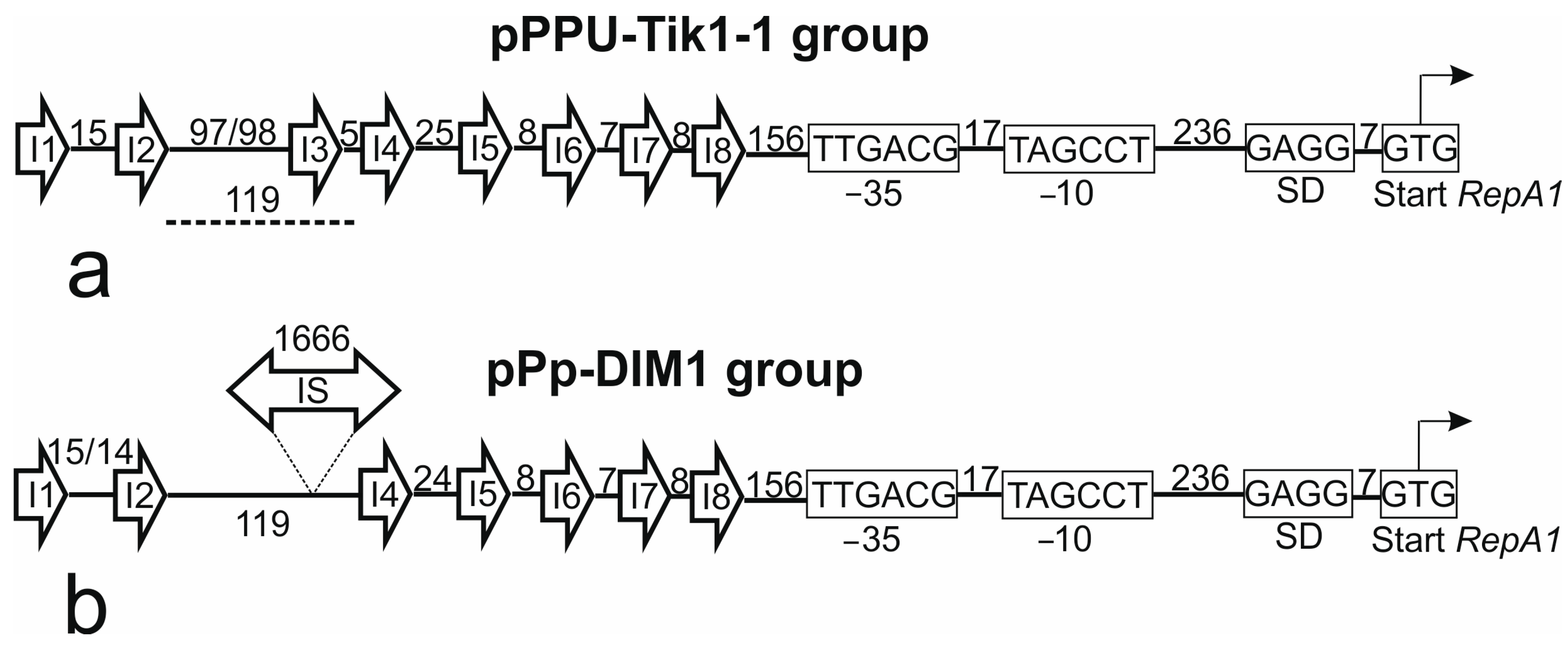 Ijms 24 13518 g003 Ijms 24 13518 g003