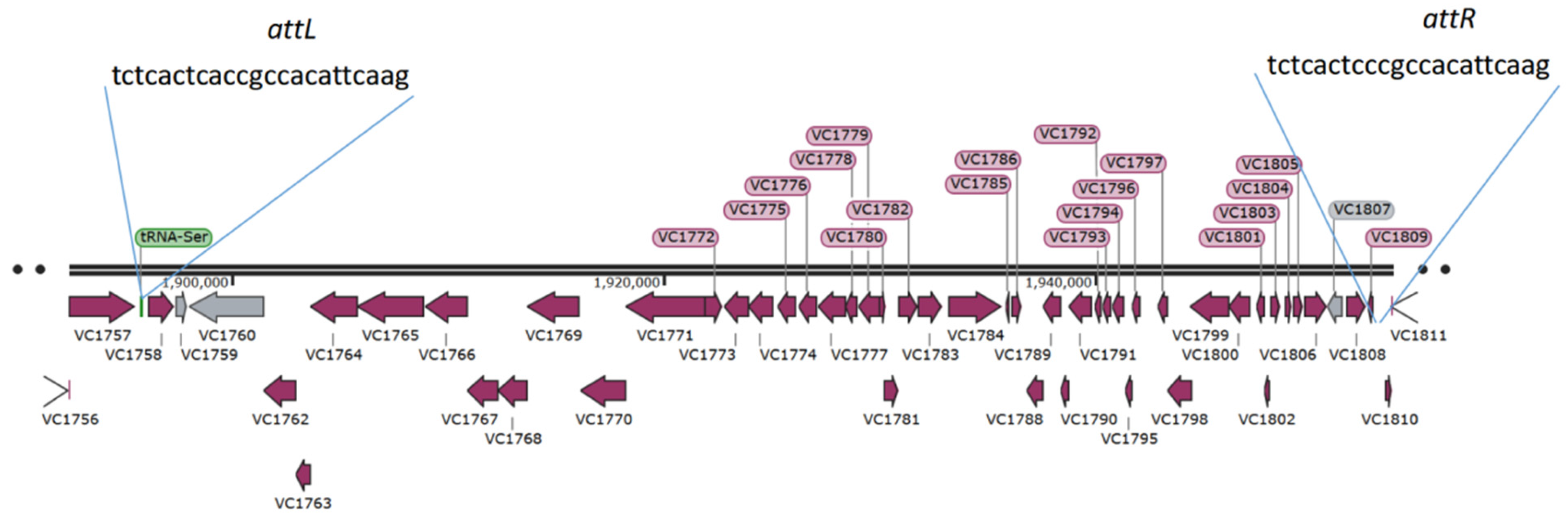 Ijms 24 13523 g001 Ijms 24 13523 g001