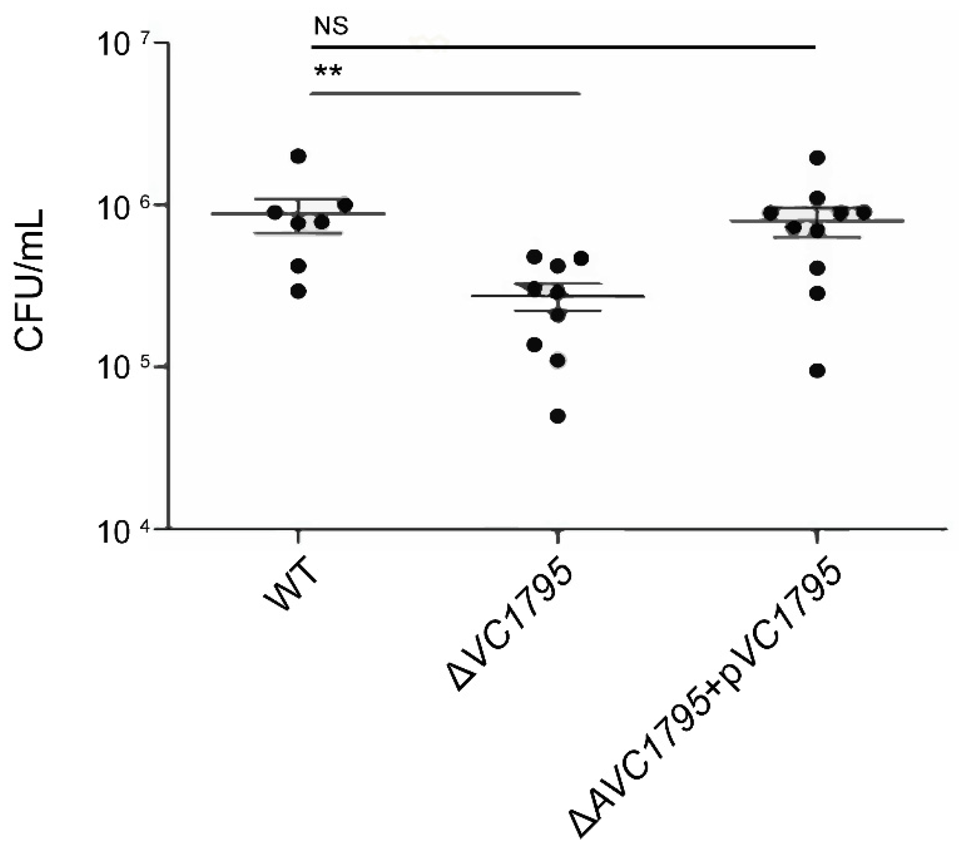 Ijms 24 13523 g002 Ijms 24 13523 g002