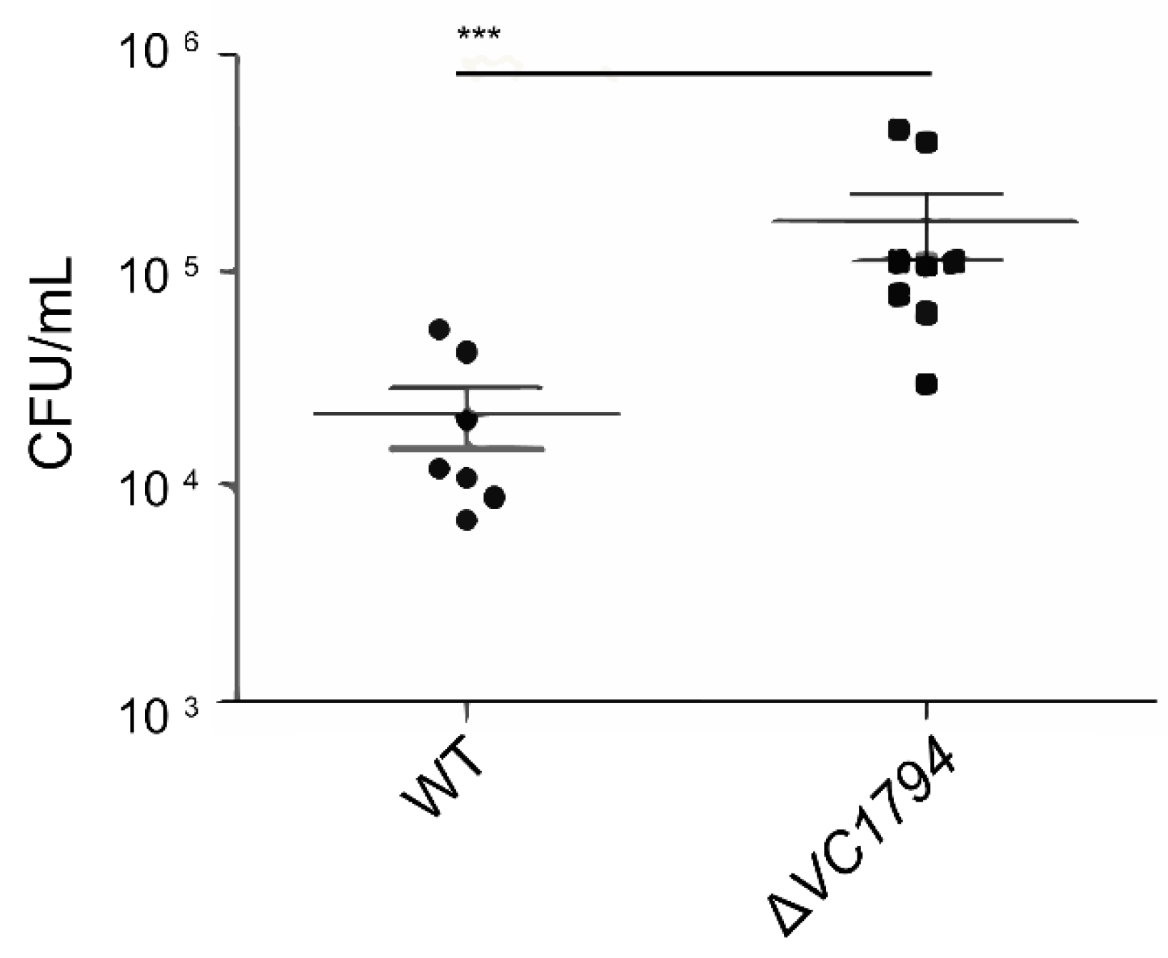 Ijms 24 13523 g005 Ijms 24 13523 g005