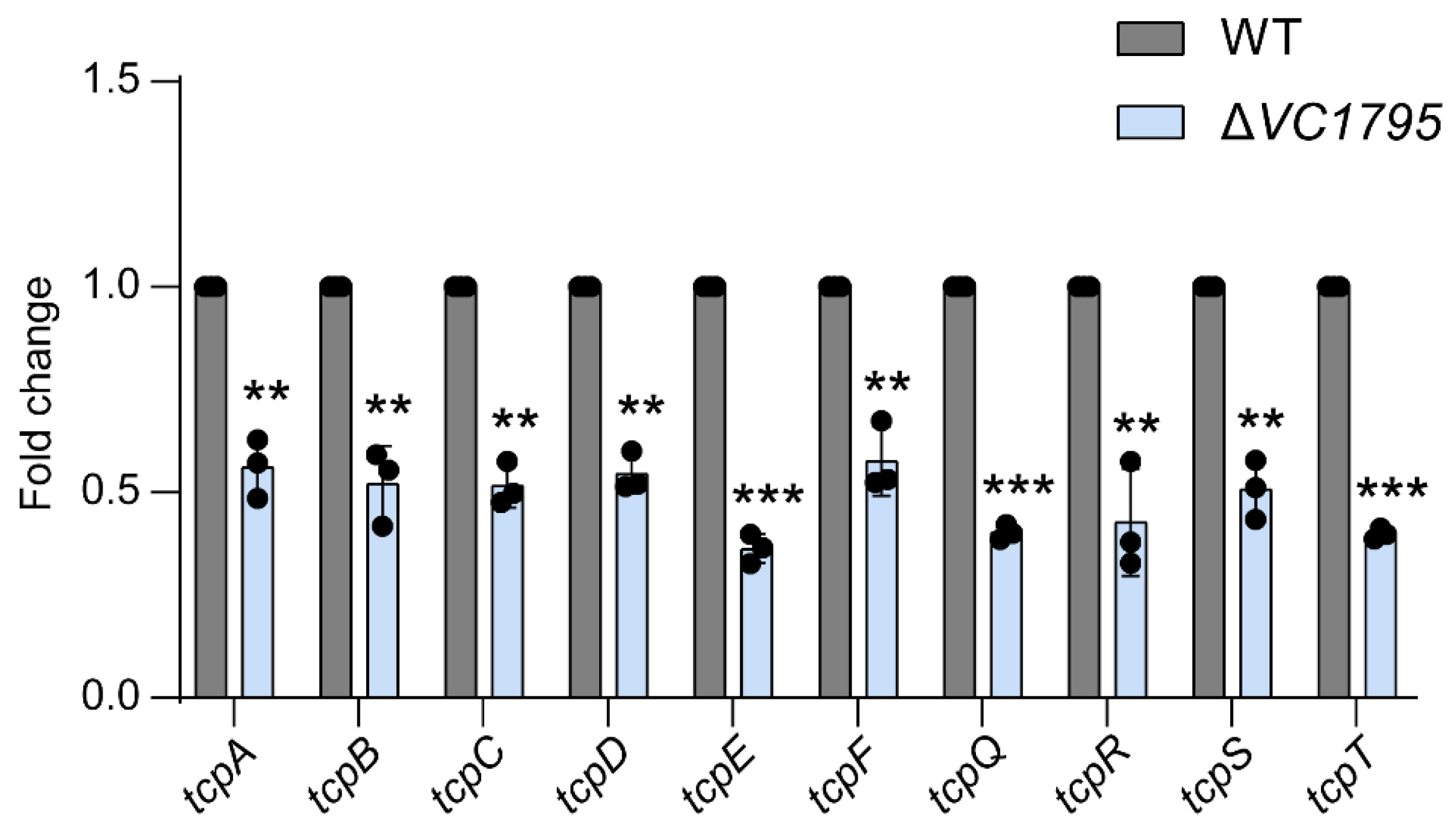 Ijms 24 13523 g006 Ijms 24 13523 g006