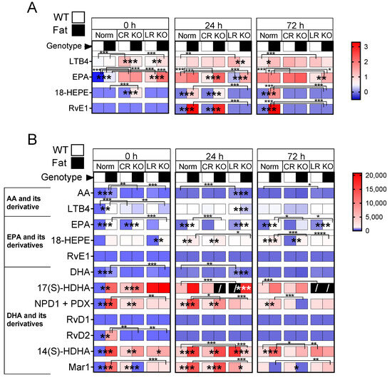 IJMS | Free Full-Text | n-3 Polyunsaturated Fatty Acids Modulate