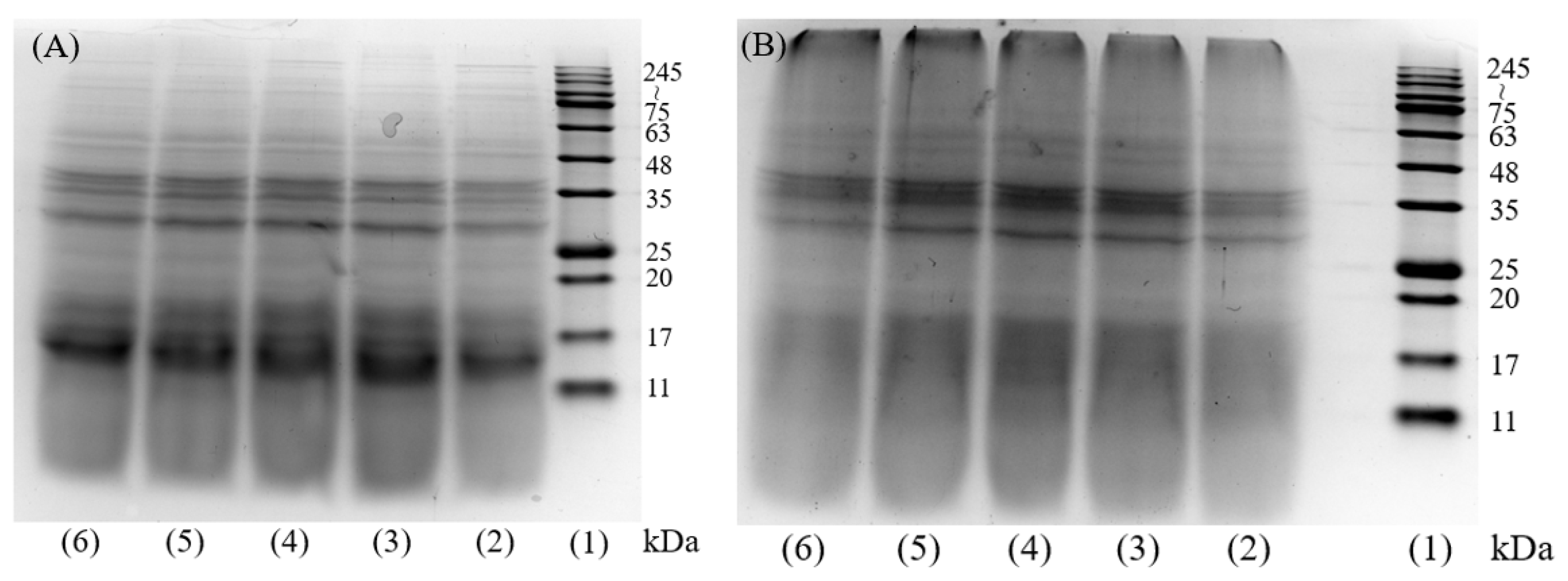 IJMS | Free Full-Text | Degree of Hydrolysis Regulated by Enzyme 