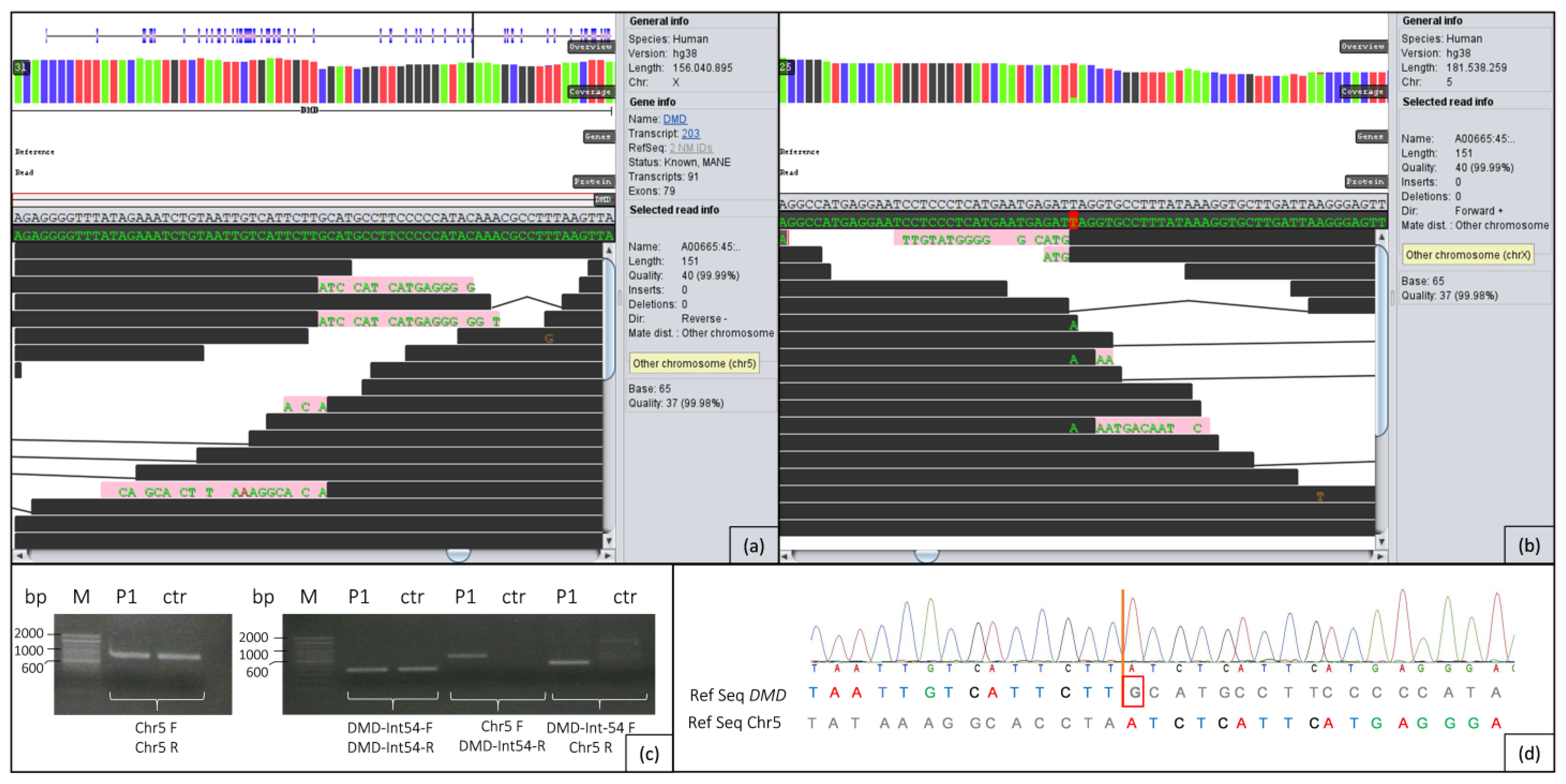 Ijms 24 13567 g003 Ijms 24 13567 g003