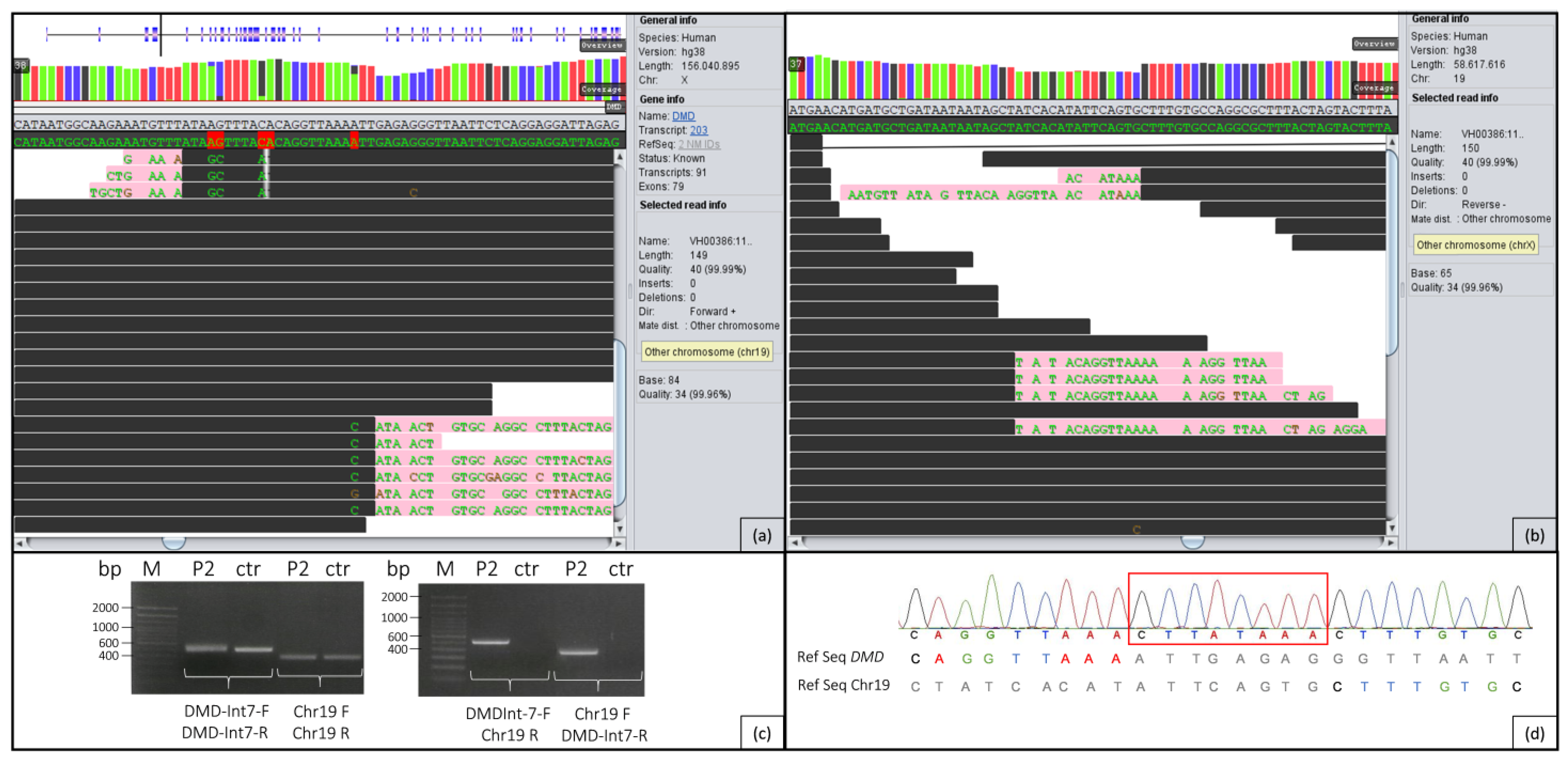 Ijms 24 13567 g004 Ijms 24 13567 g004
