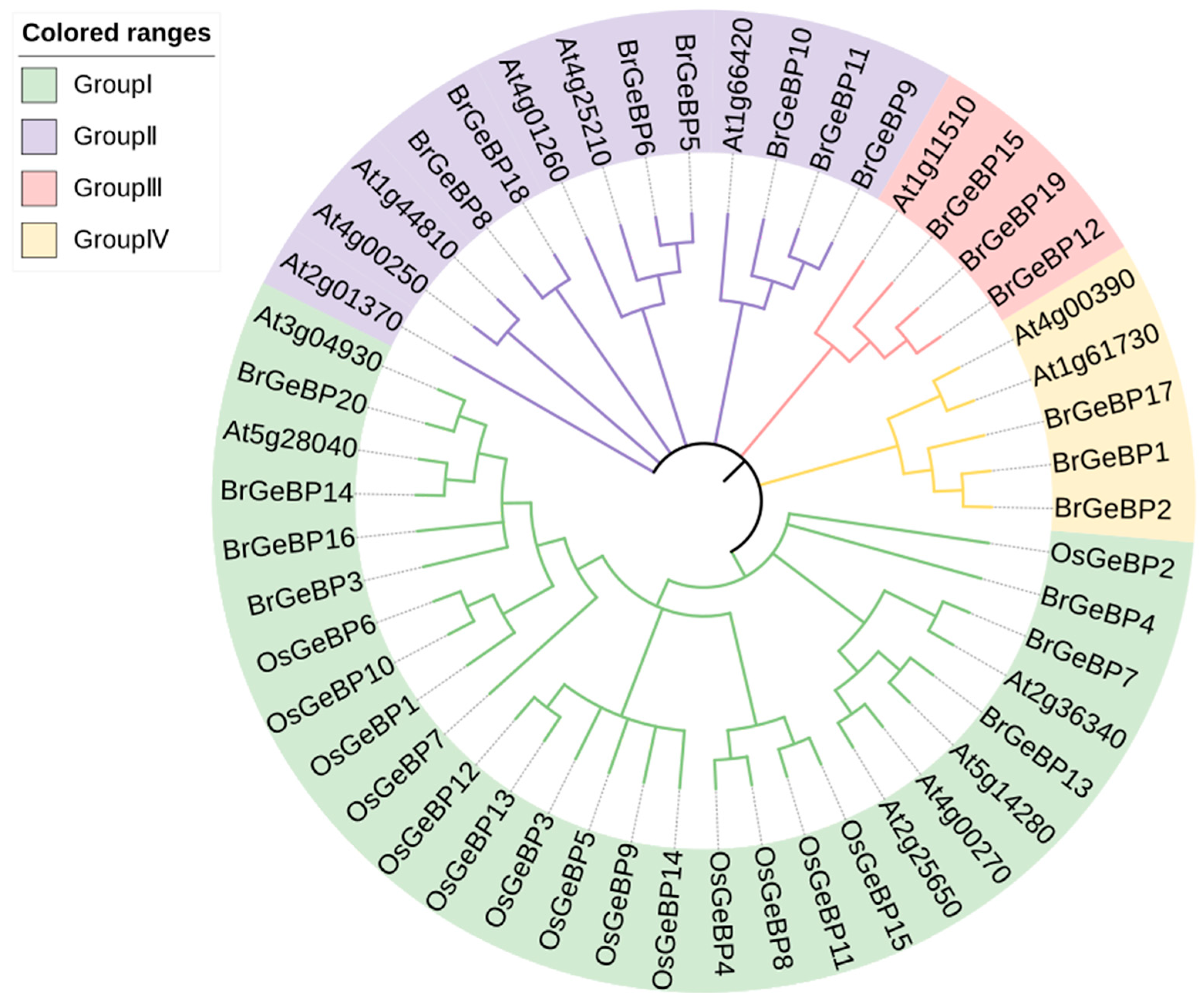 Ijms 24 13597 g001 Ijms 24 13597 g001