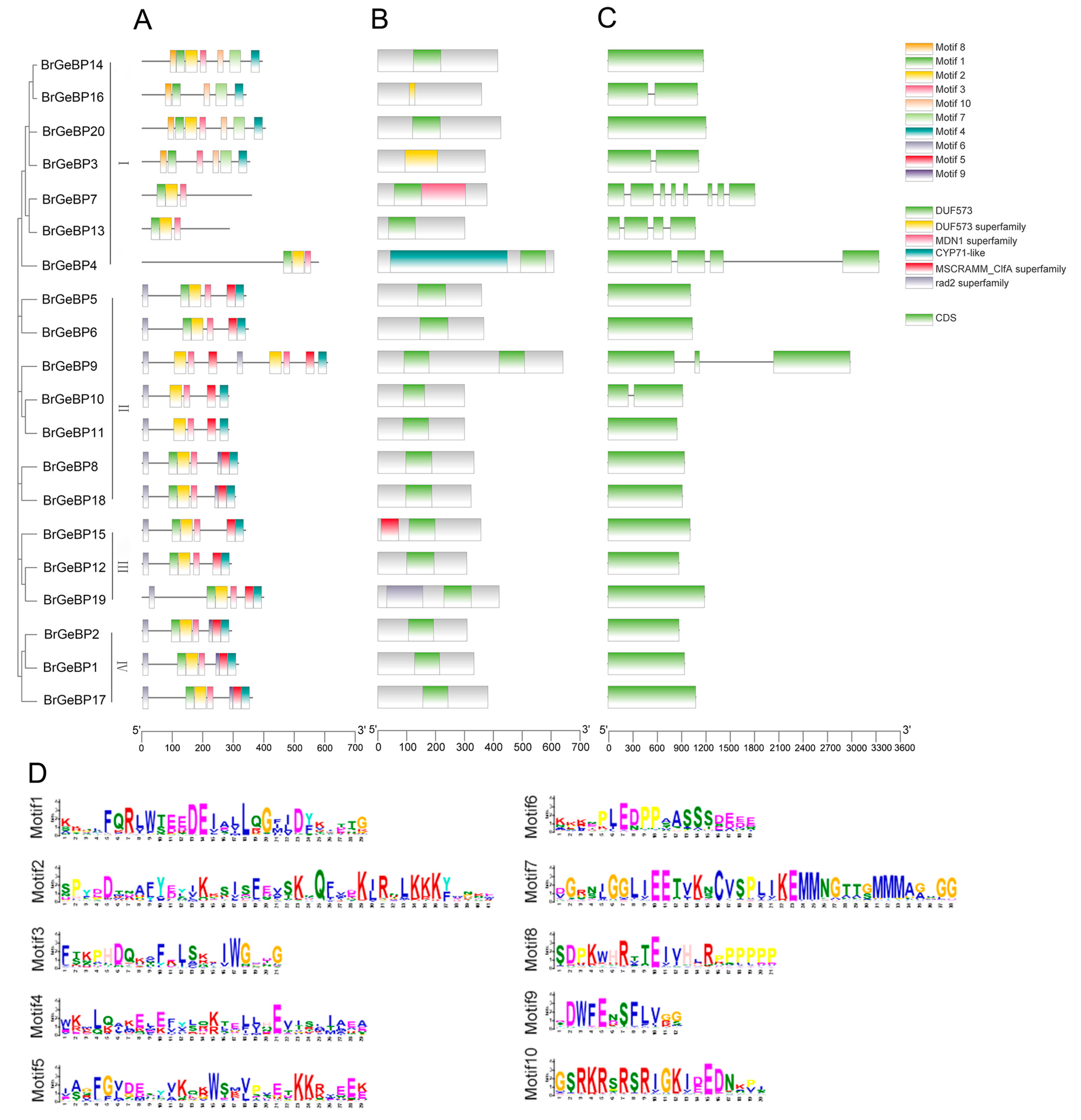 Ijms 24 13597 g002 Ijms 24 13597 g002