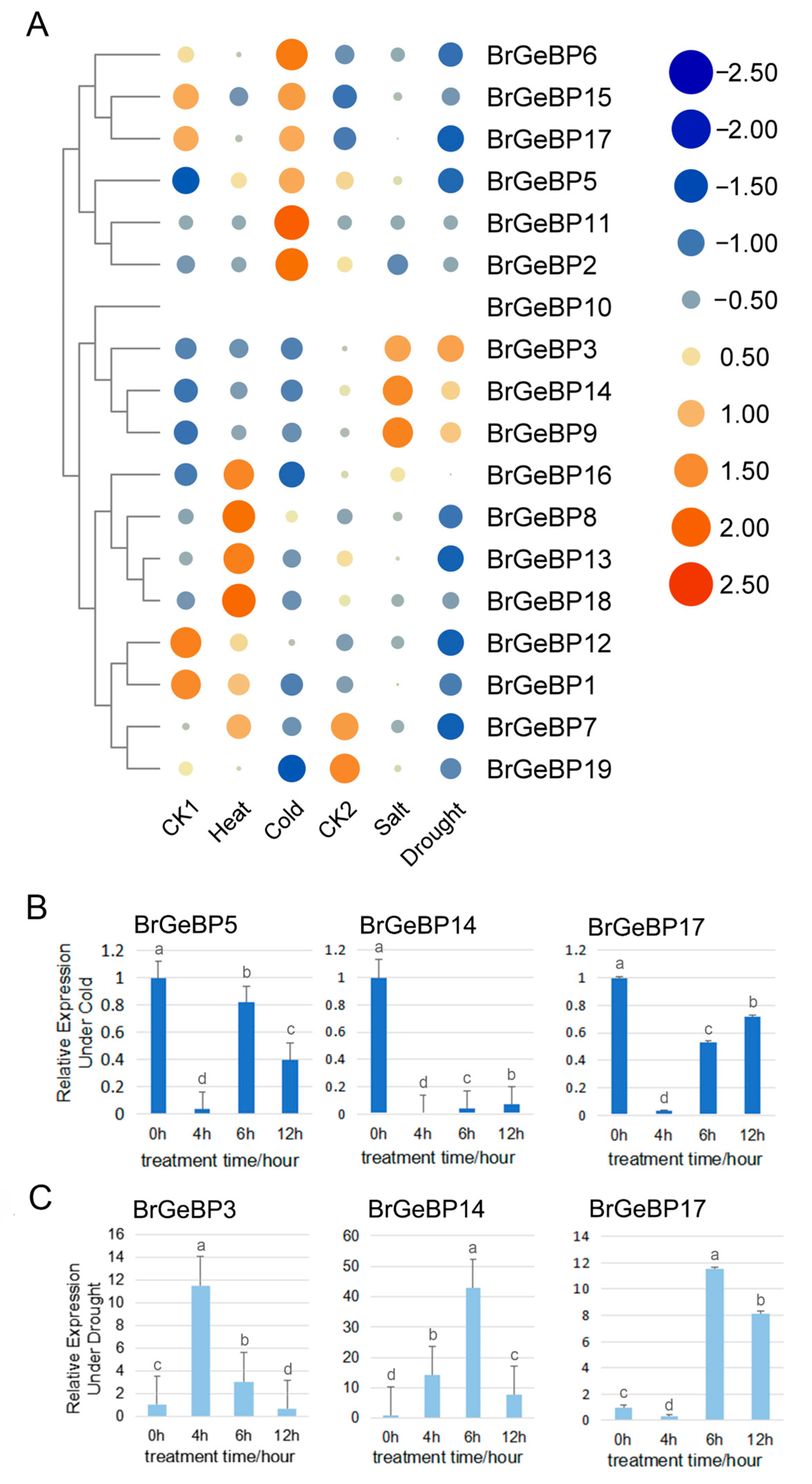 Ijms 24 13597 g005 Ijms 24 13597 g005