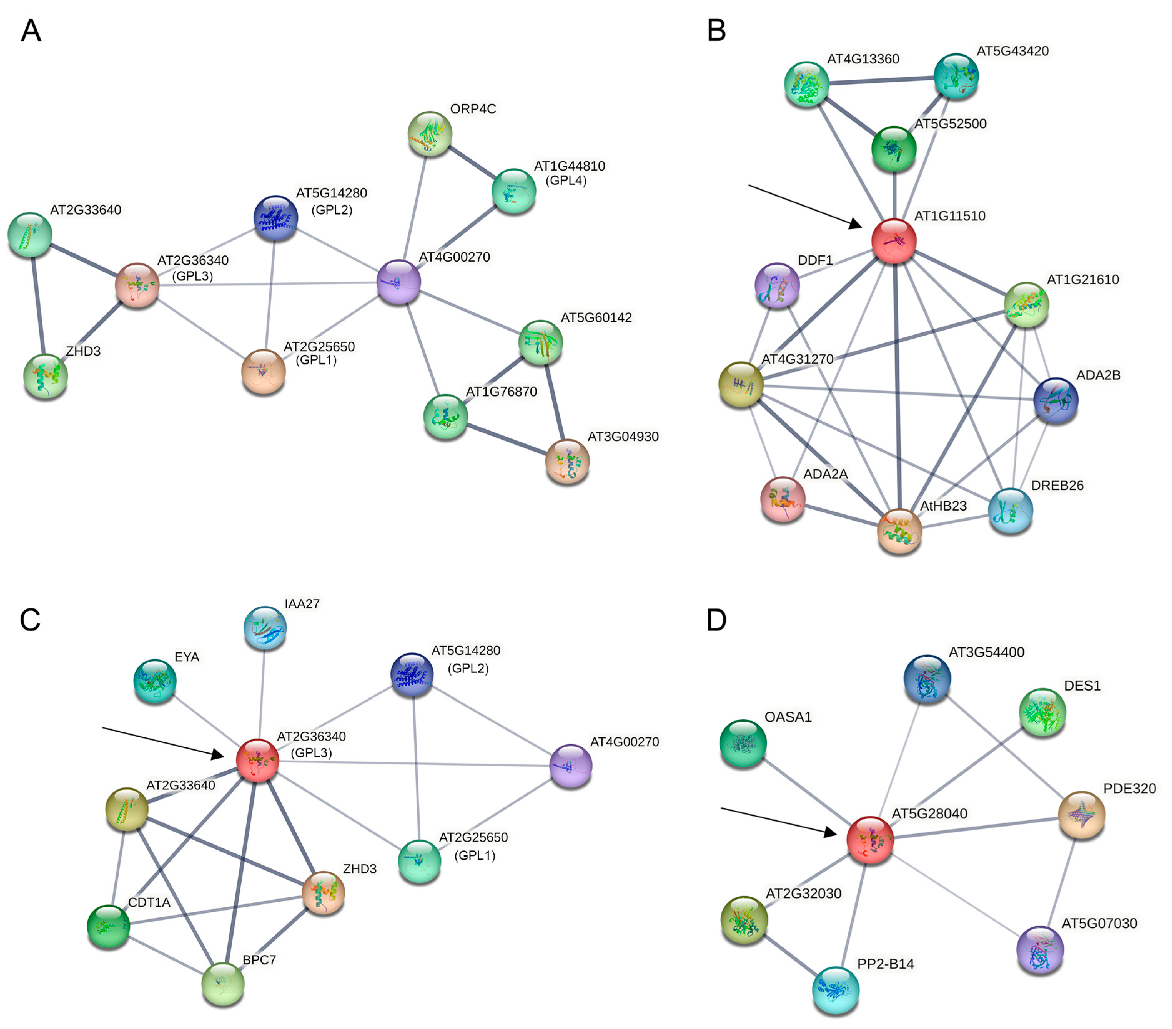 Ijms 24 13597 g006 Ijms 24 13597 g006