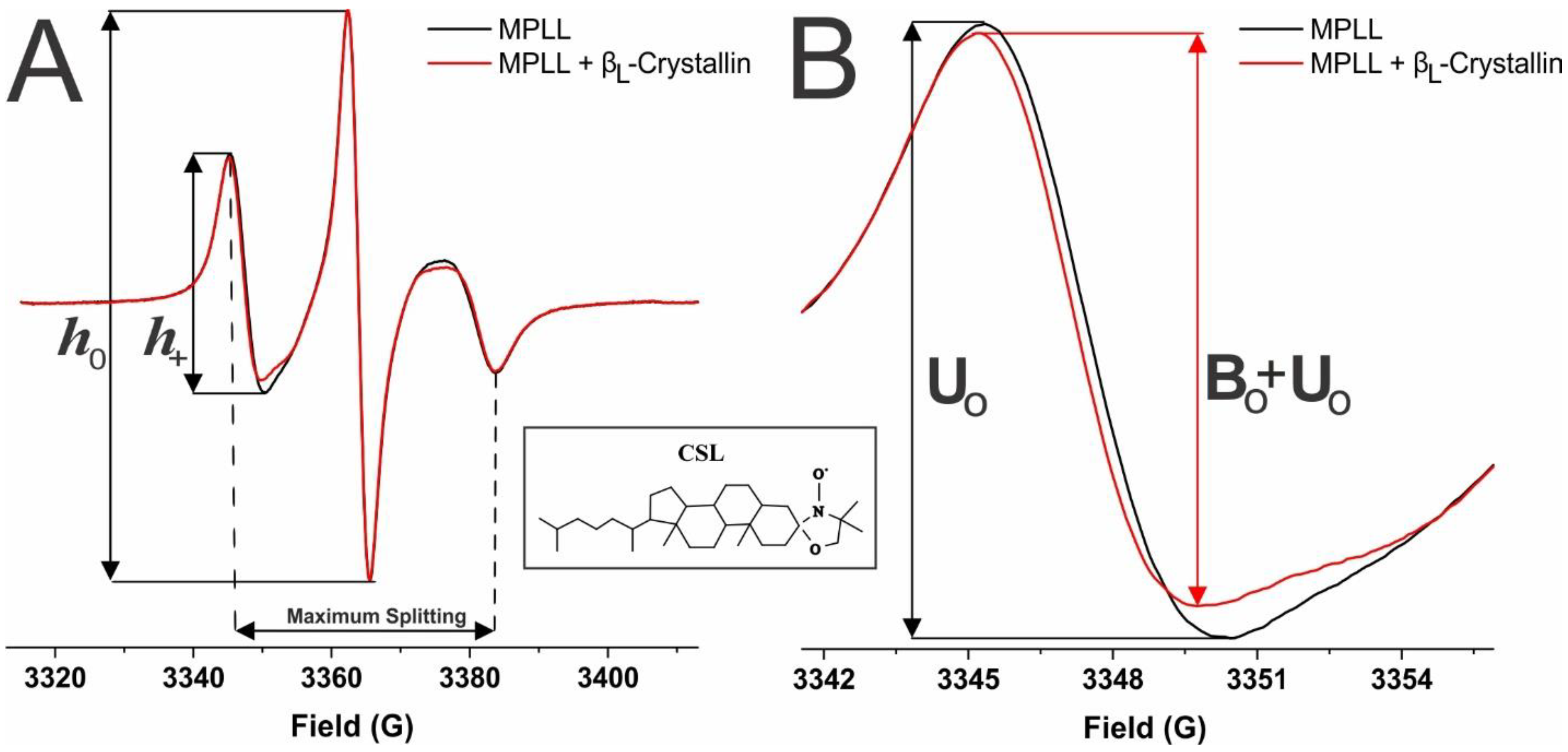 Ijms 24 13600 g006 Ijms 24 13600 g006