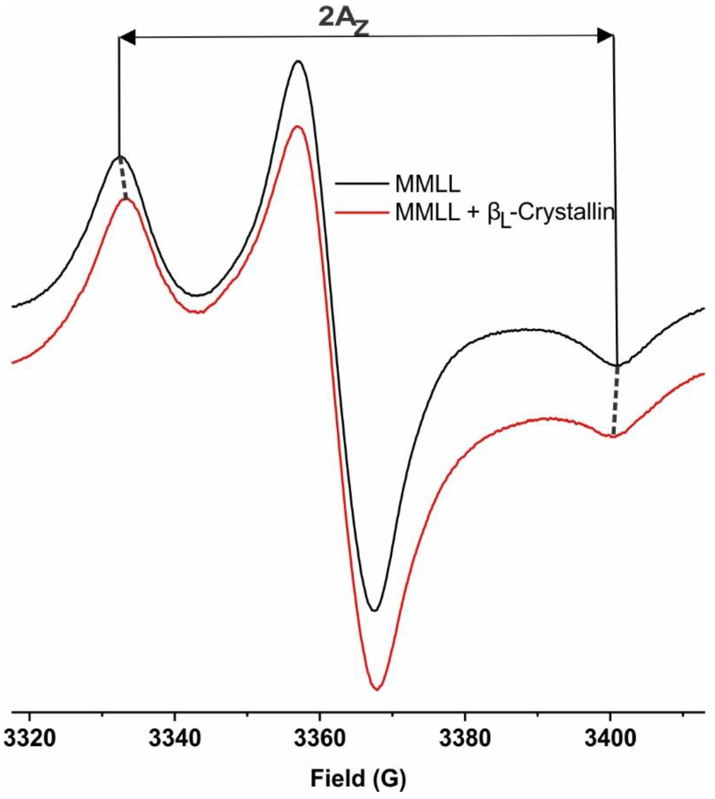 Ijms 24 13600 g007 Ijms 24 13600 g007