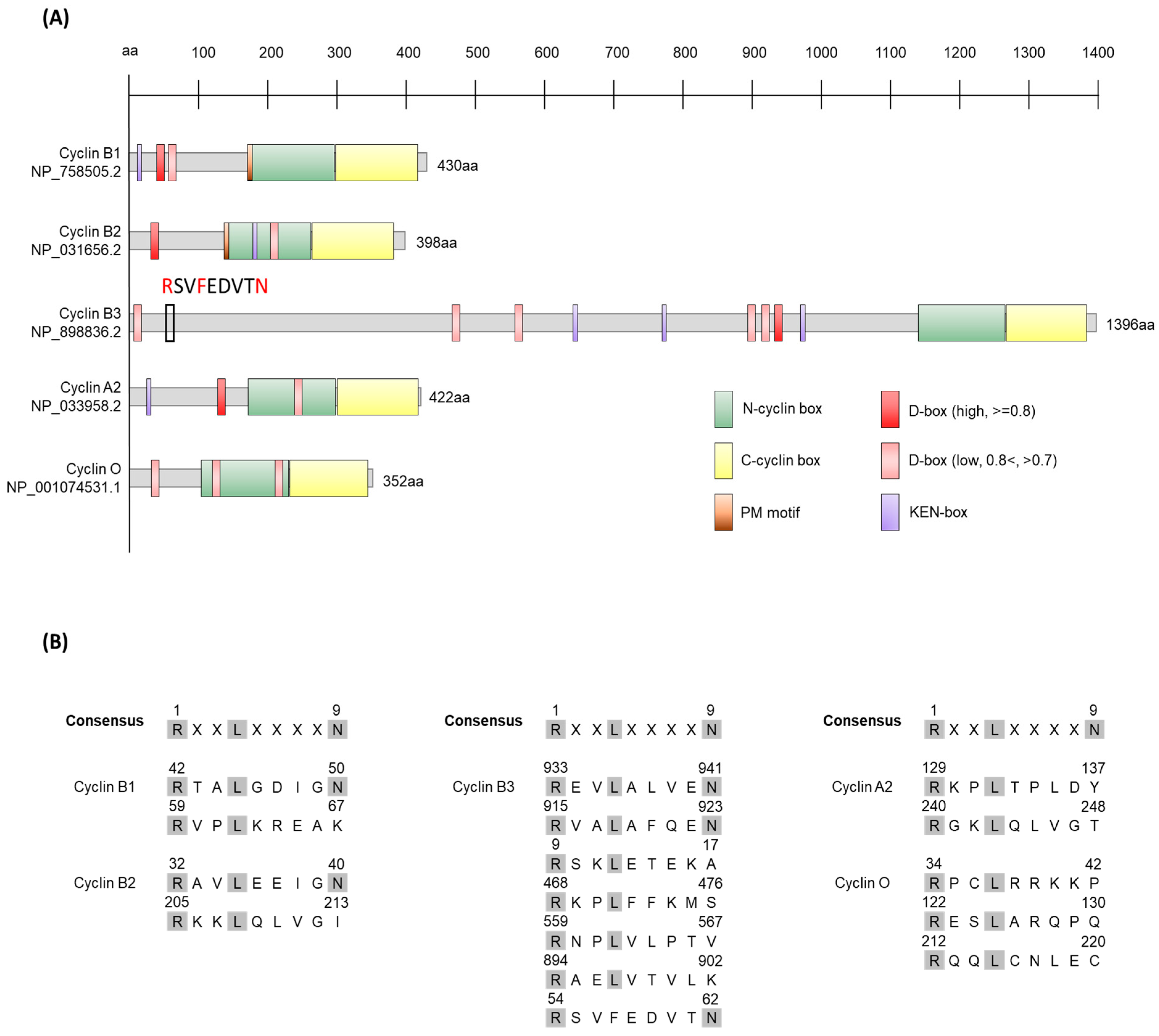 Ijms 24 13659 g002 Ijms 24 13659 g002