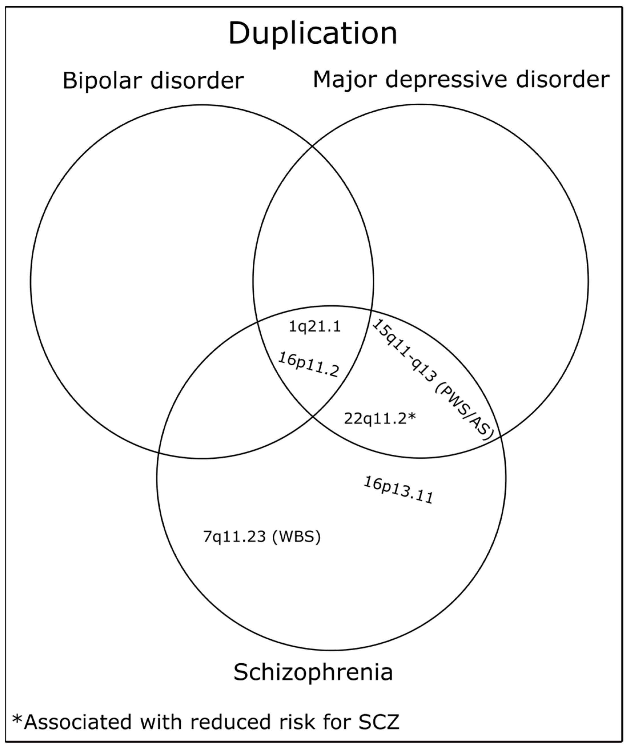 Ijms 24 13671 g004 Ijms 24 13671 g004