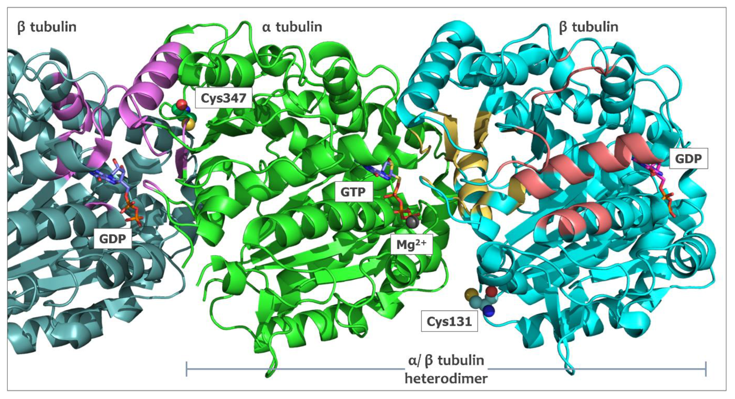 Ijms 24 13674 g001 Ijms 24 13674 g001