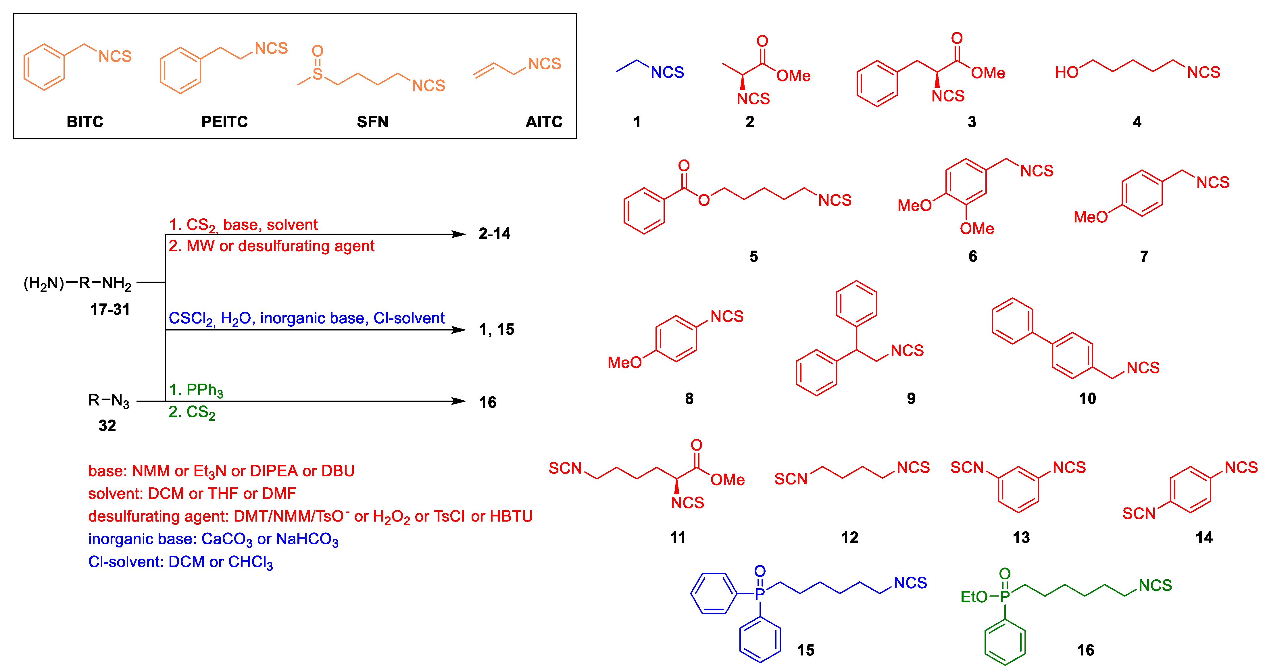 Ijms 24 13674 g002 Ijms 24 13674 g002