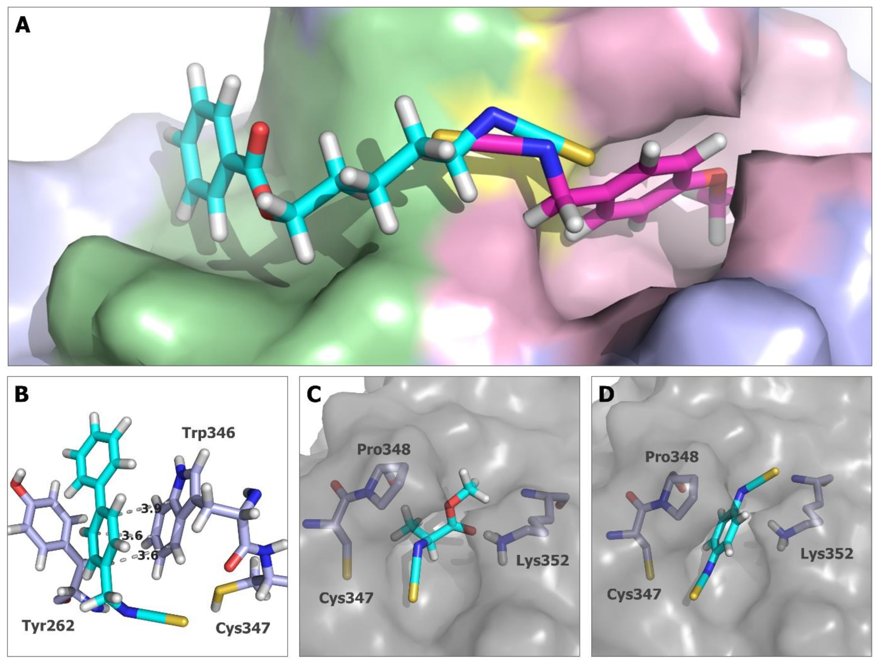 Ijms 24 13674 g006 Ijms 24 13674 g006