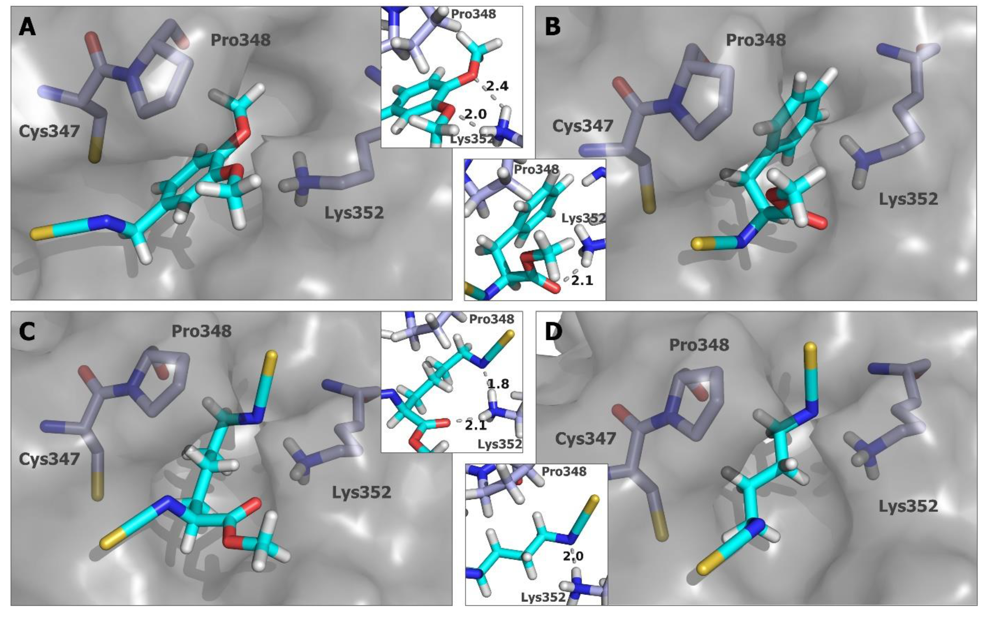Ijms 24 13674 g007 Ijms 24 13674 g007