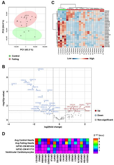 Role of ectopic olfactory receptors in glucose and lipid