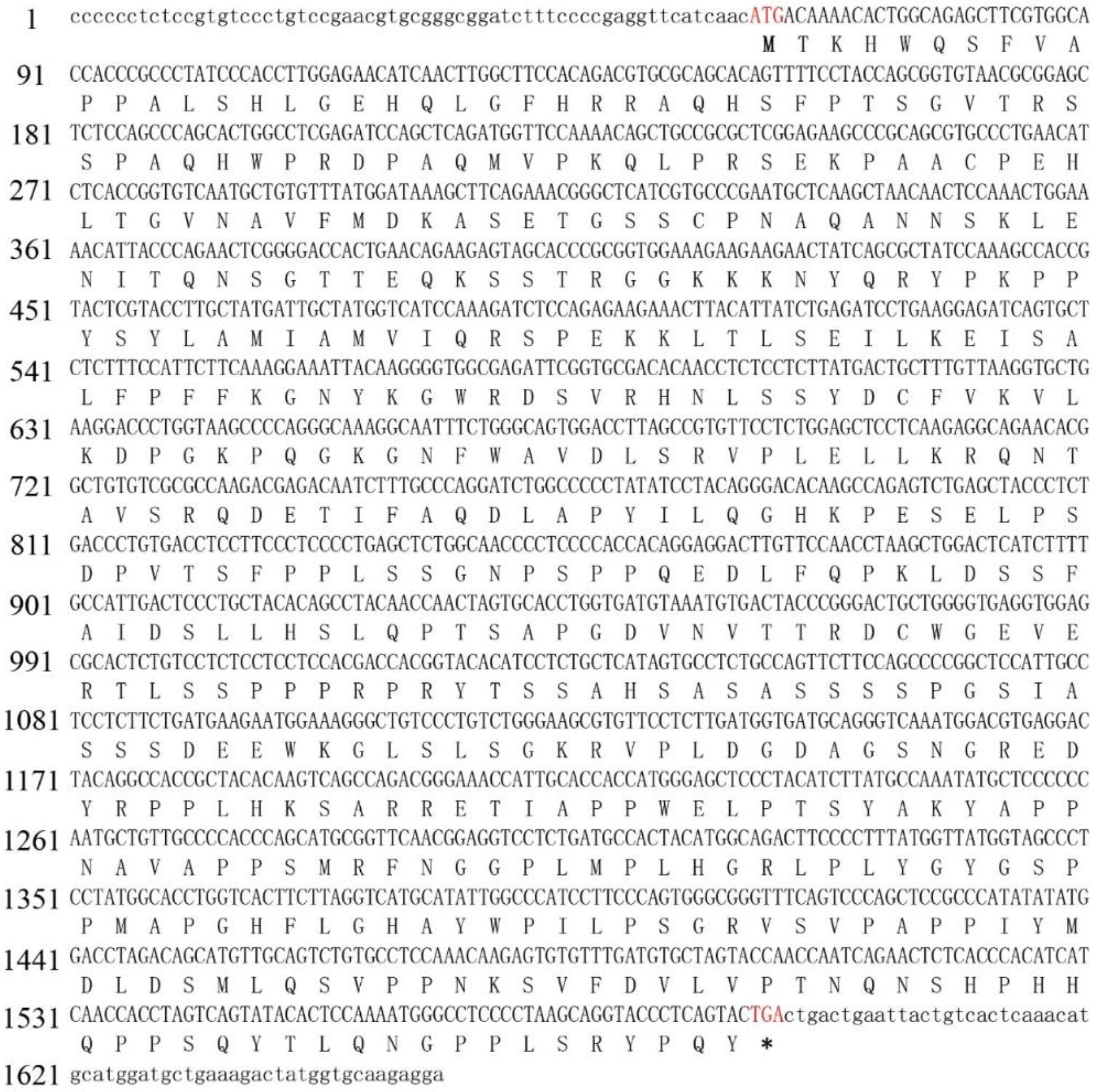 Ijms 24 13712 g001 Ijms 24 13712 g001