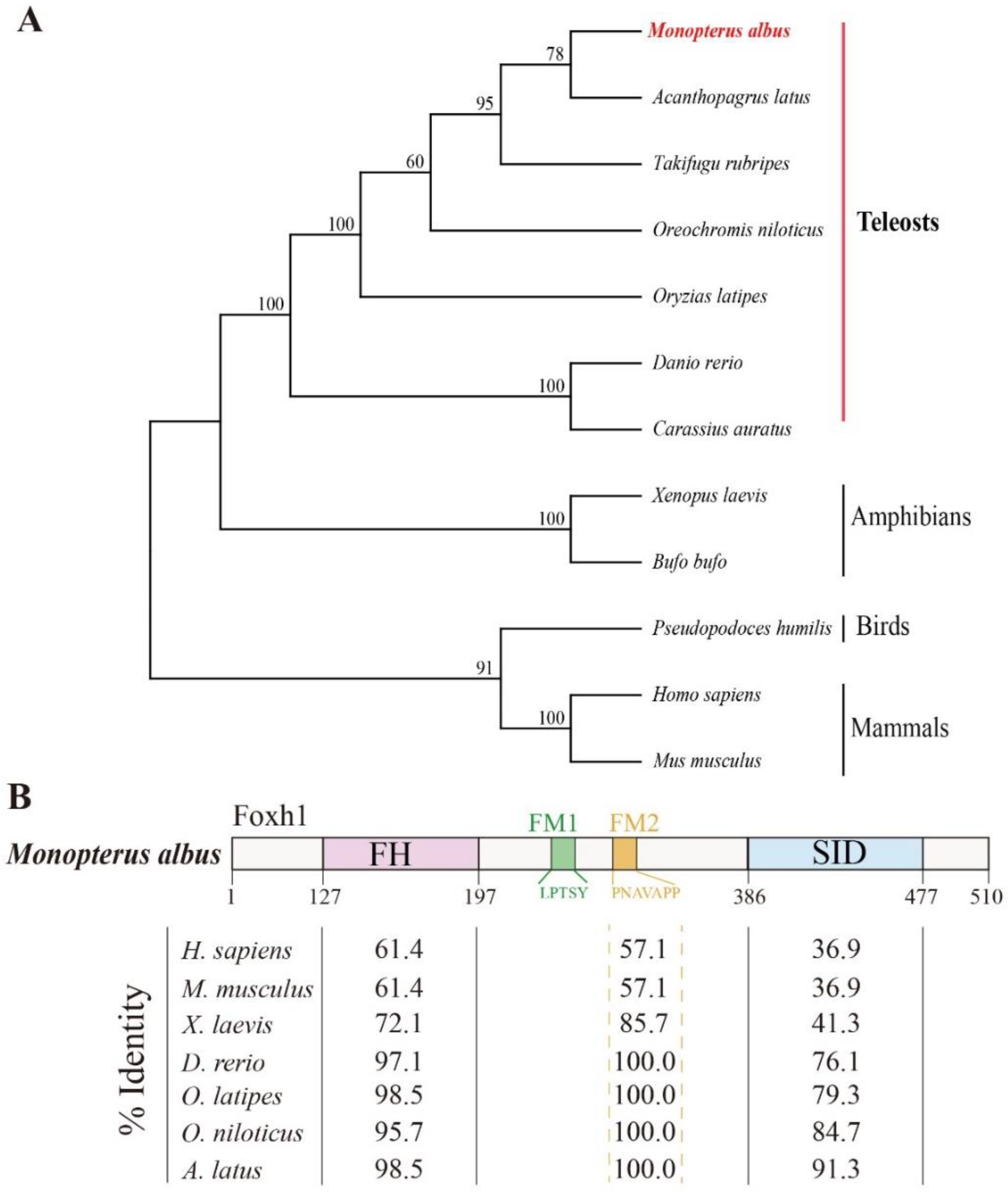 Ijms 24 13712 g002 Ijms 24 13712 g002